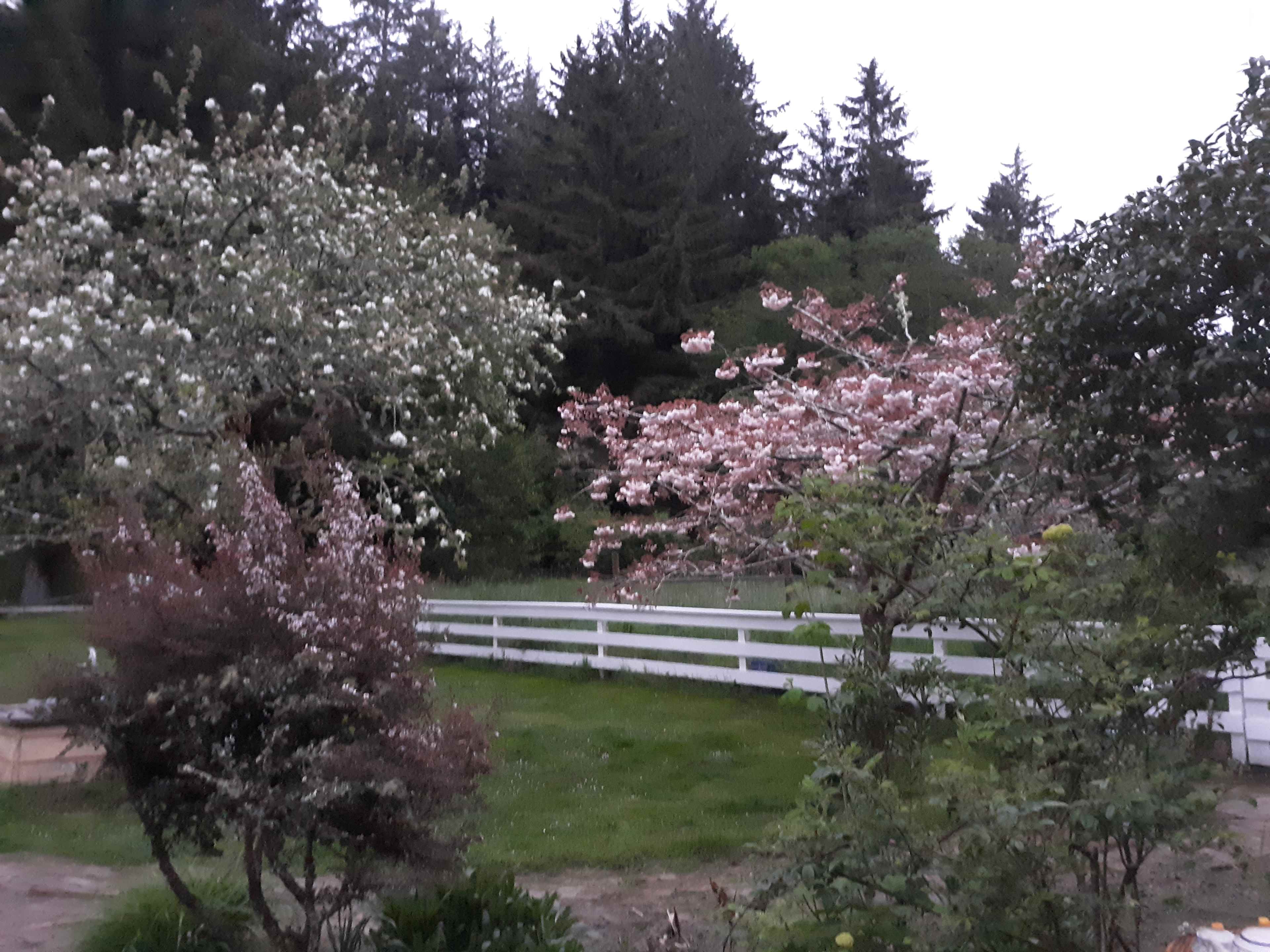 Wendy & John Farm