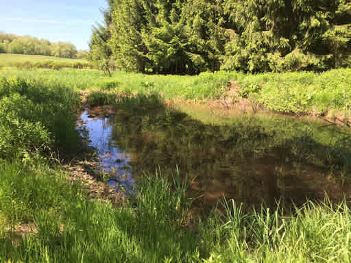 Possum Tail Farm