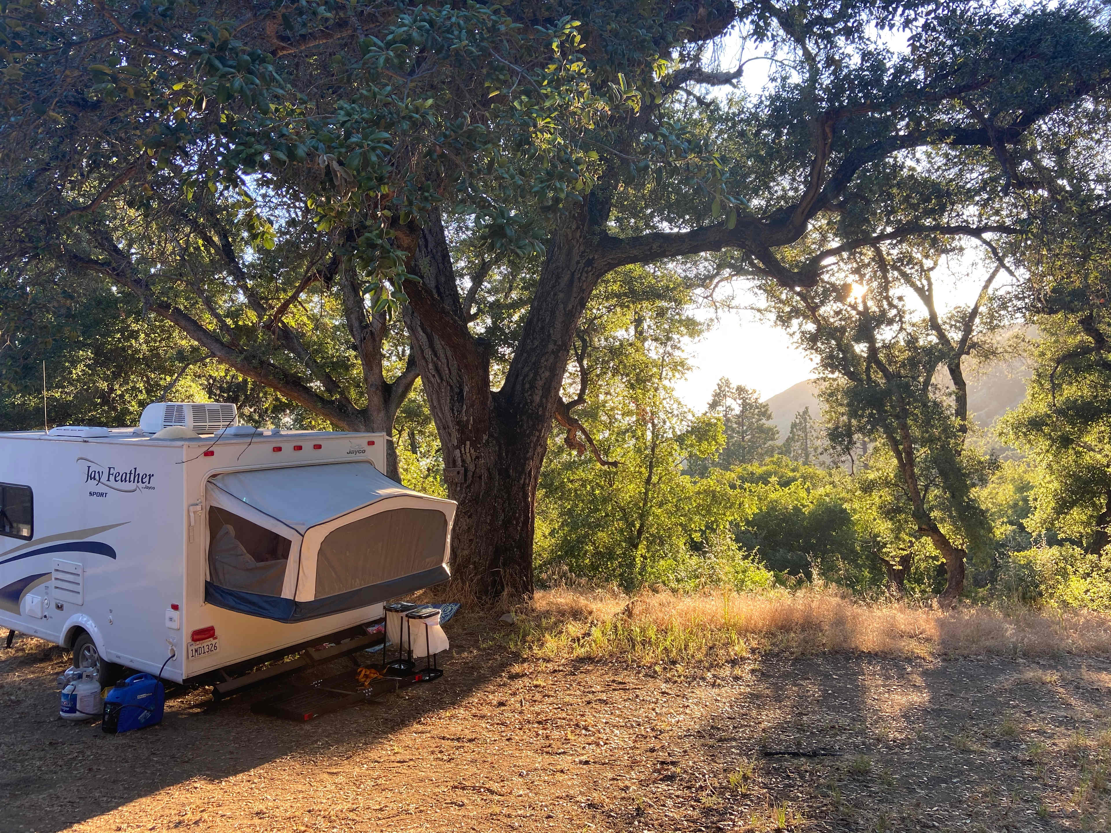 Magical Harrison Serenity Ranch