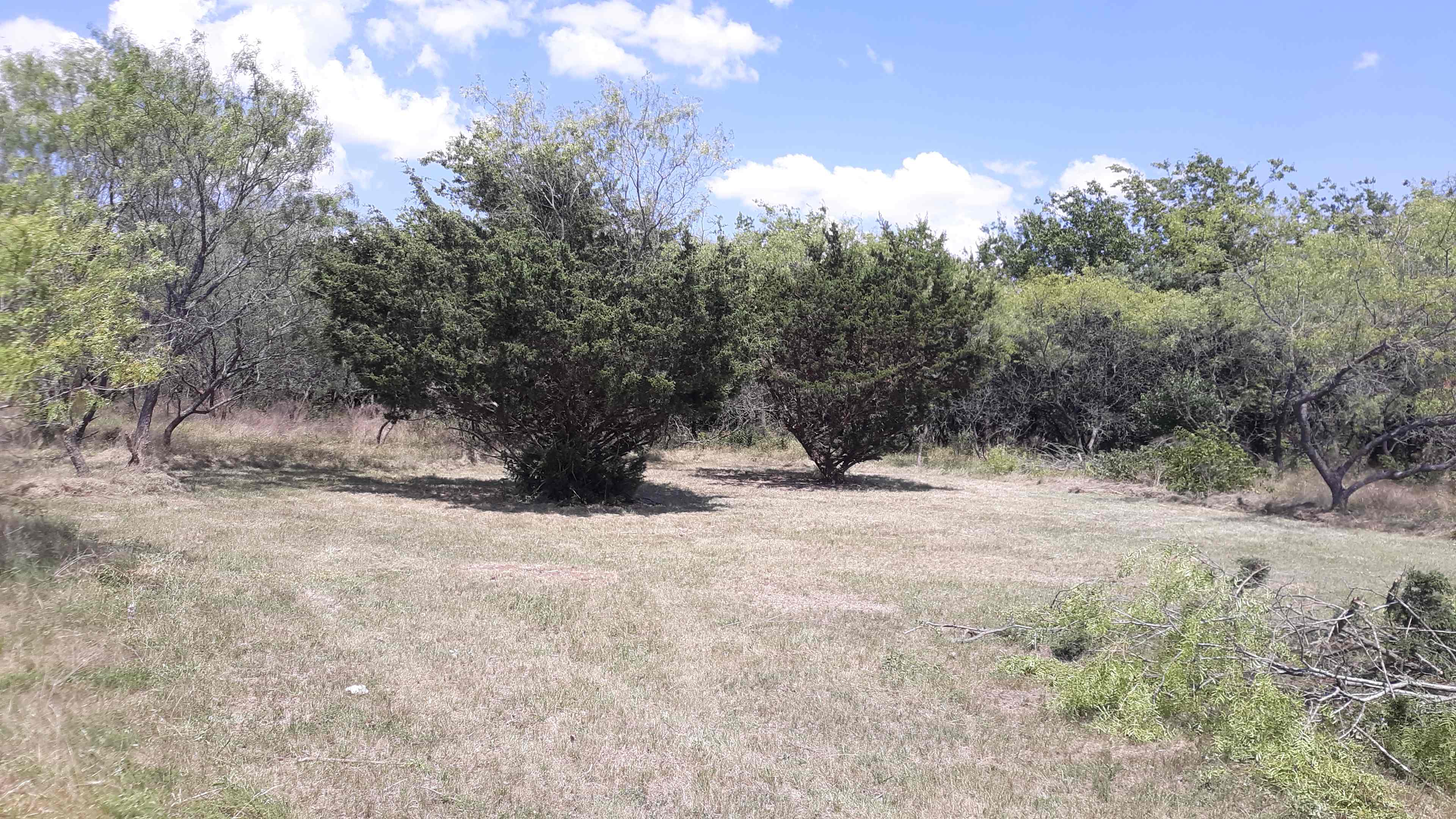 After the legacy area was cleared