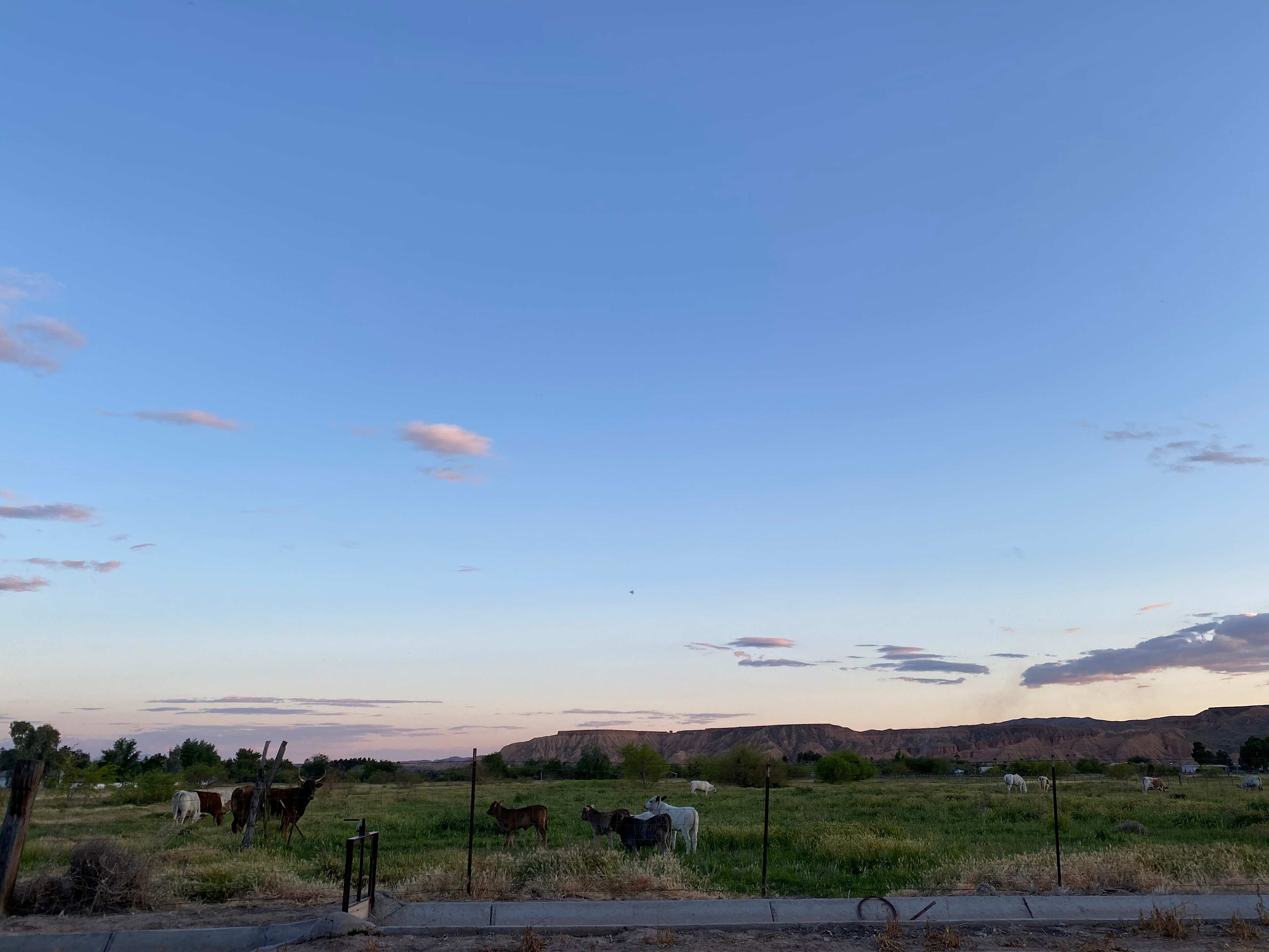 View from campsite