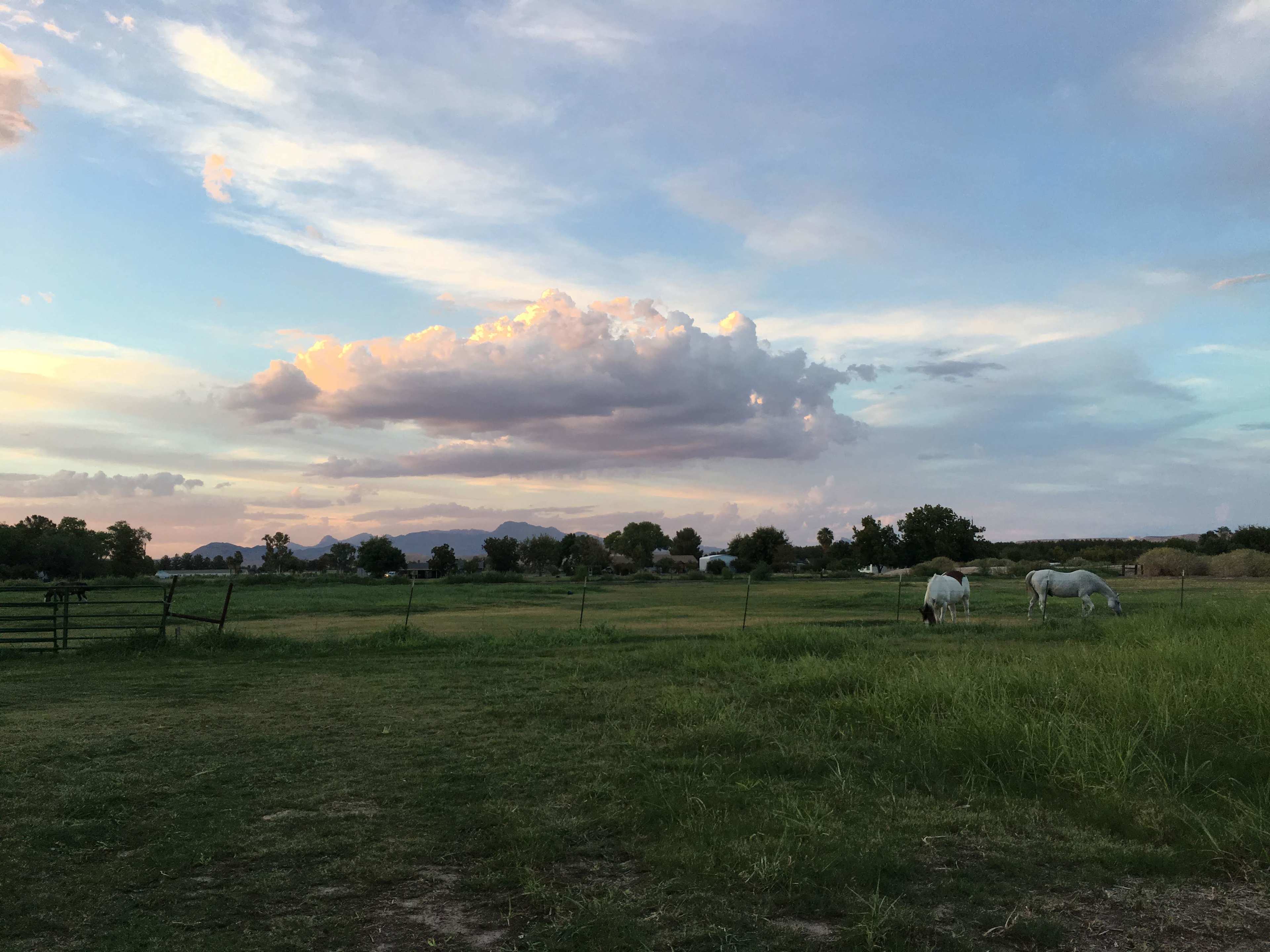 View from campsite