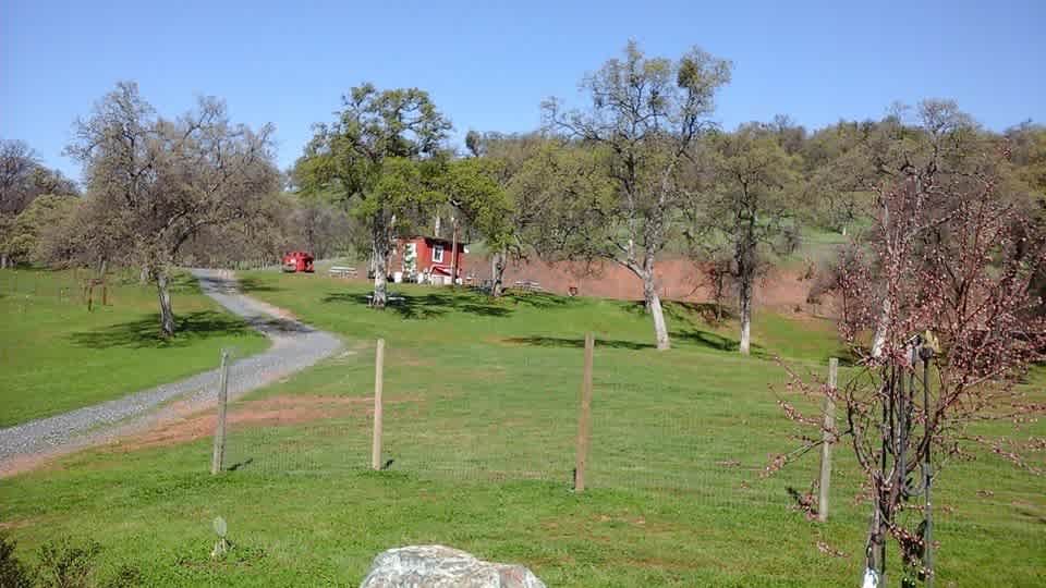 Mommapeggs Getaway in the seirra