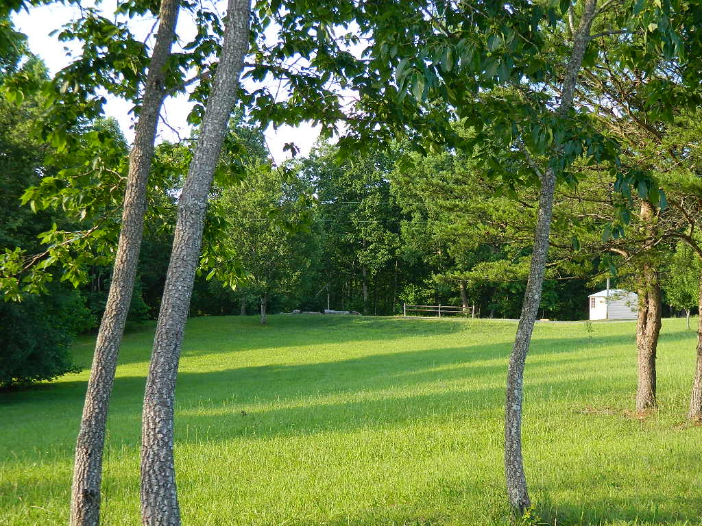 Across the meadow to the campsite.
