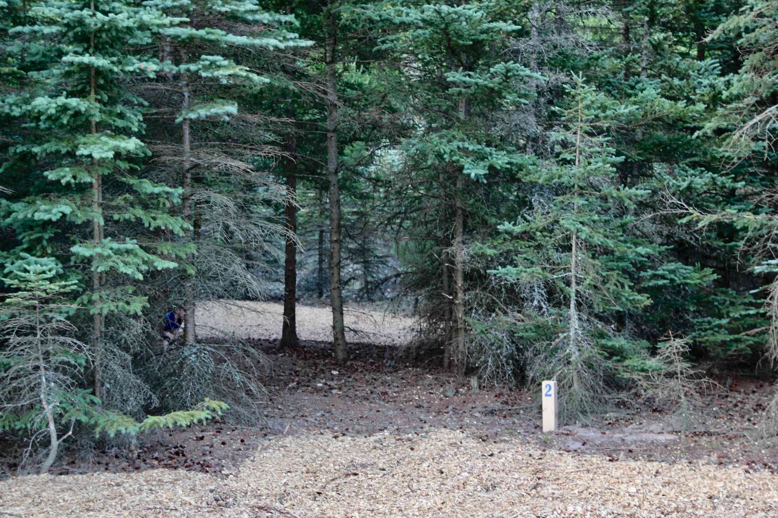 Tent site #2