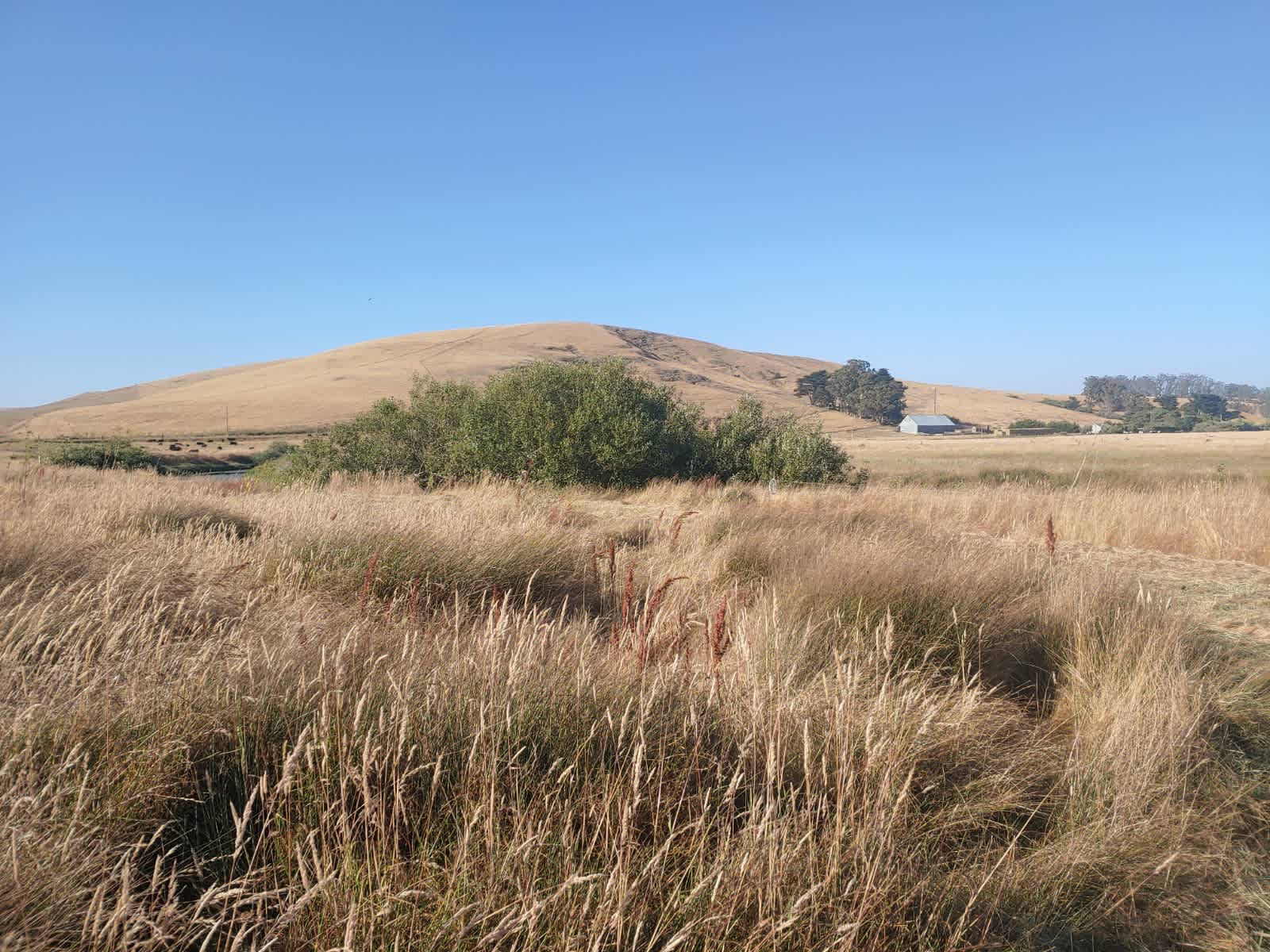 Estero San Antonio Wonderland