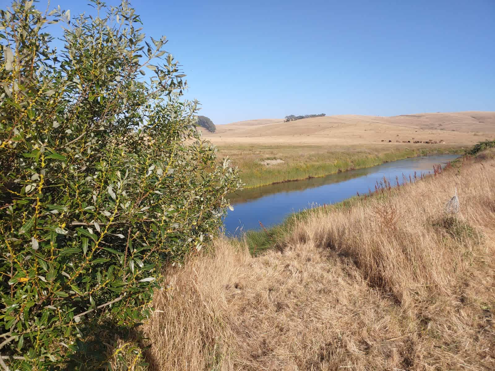 Estero San Antonio Wonderland