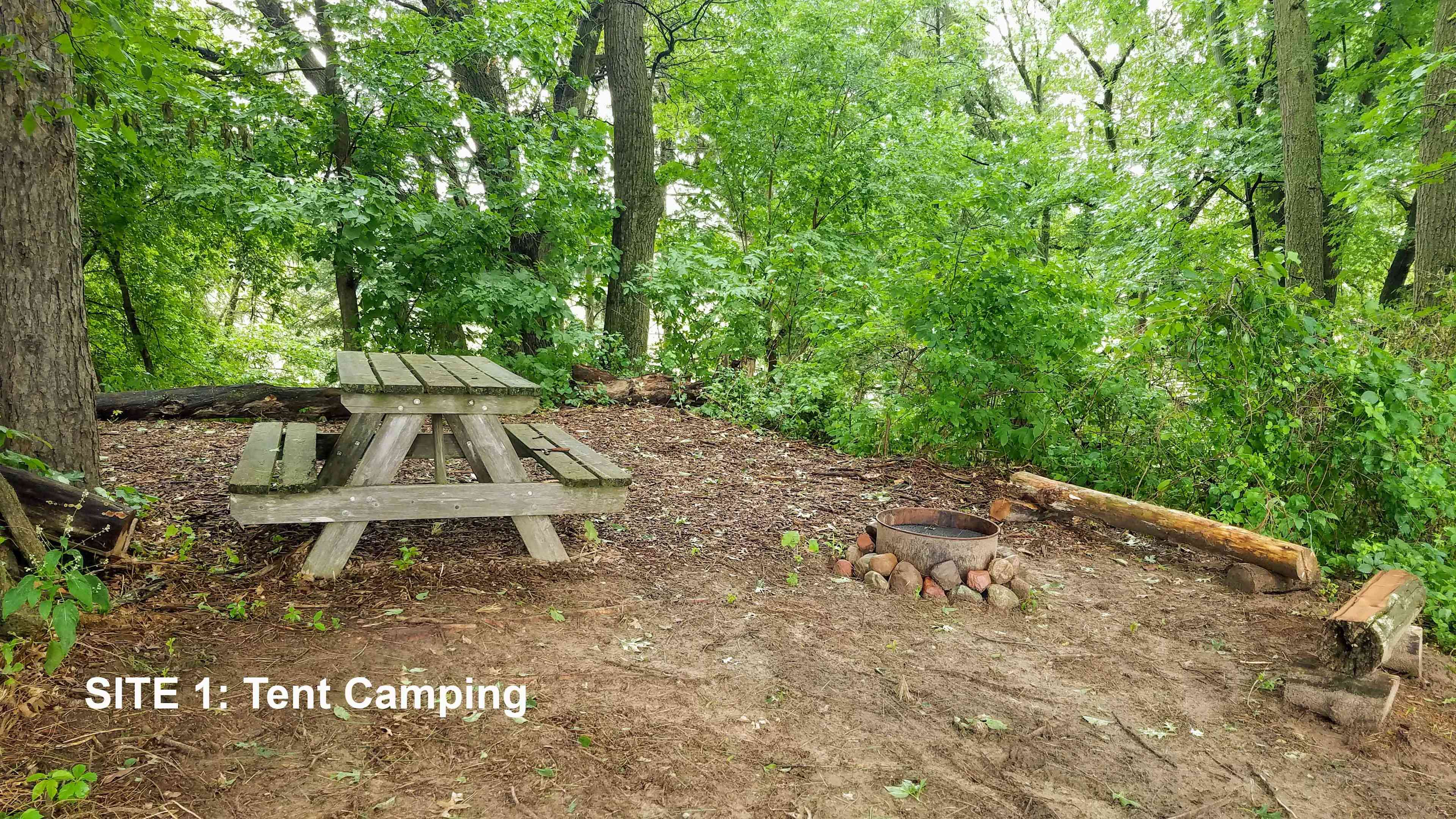 Site 1: Tent camping