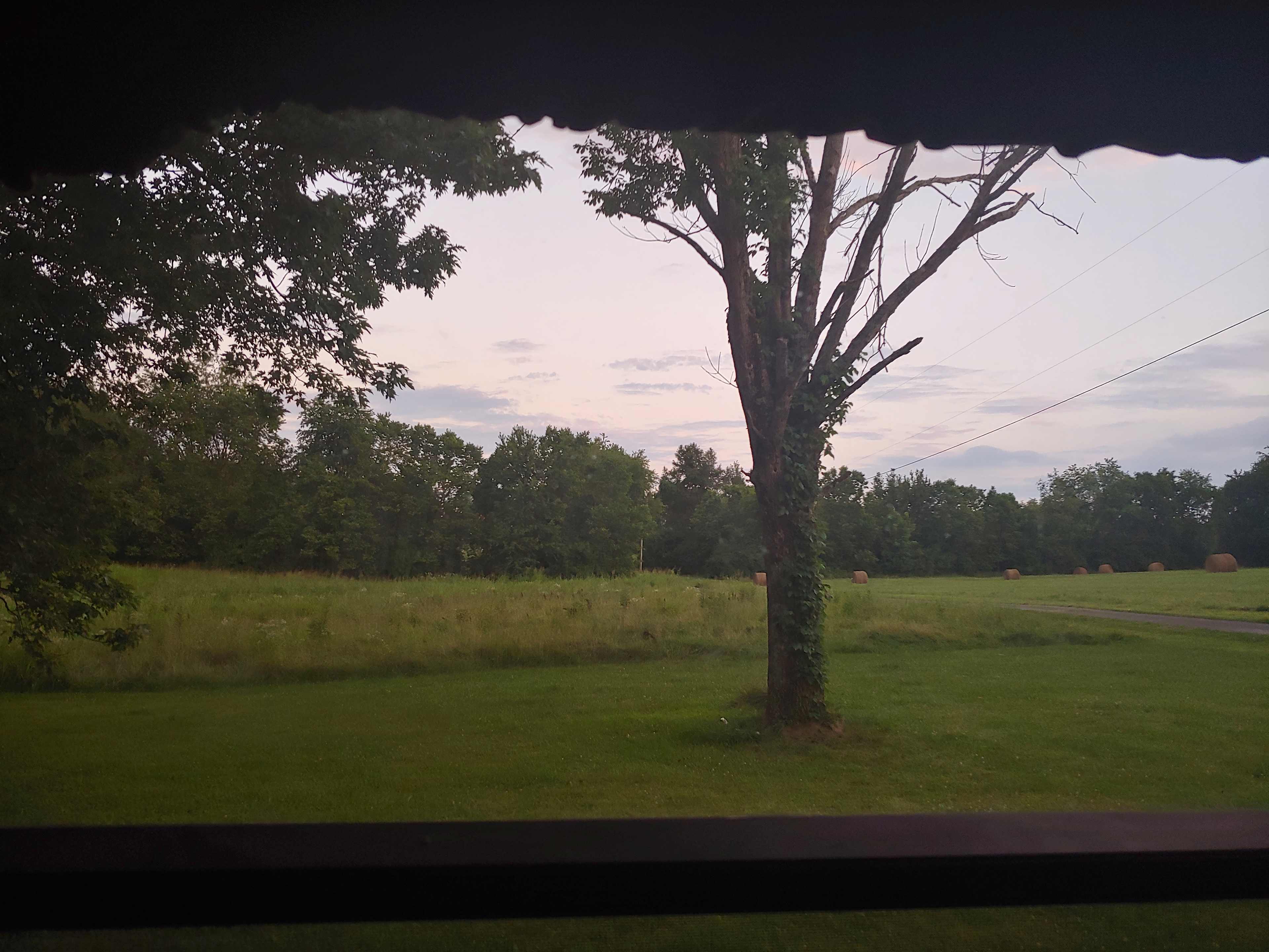 Farm and Forest
