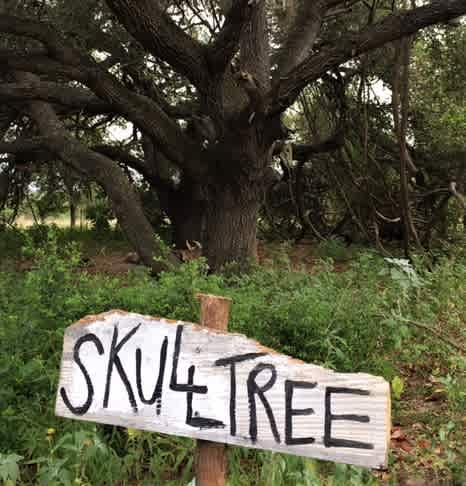 Easily find your campsite with prominent signage.