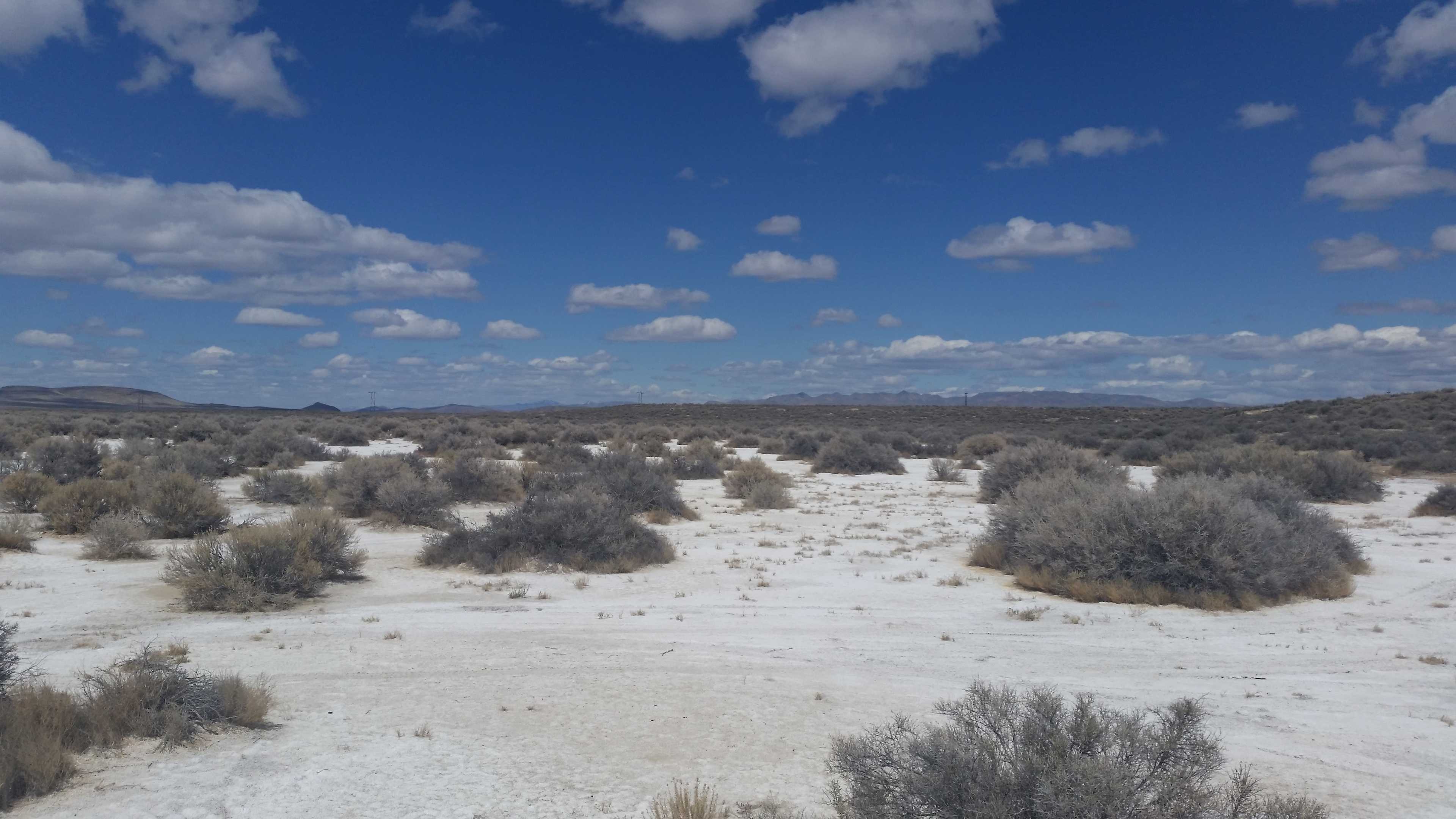 Looking out over the lakebed.