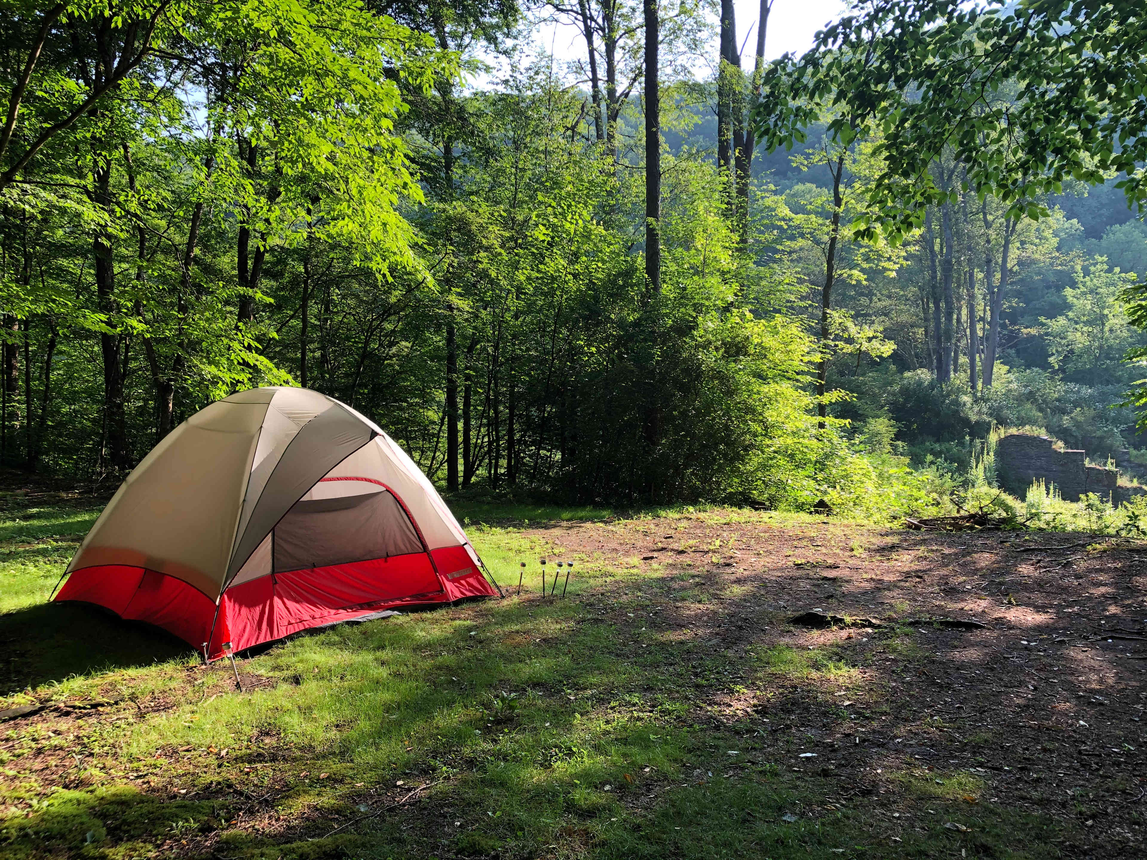 Site #4 - love that morning sunlight!