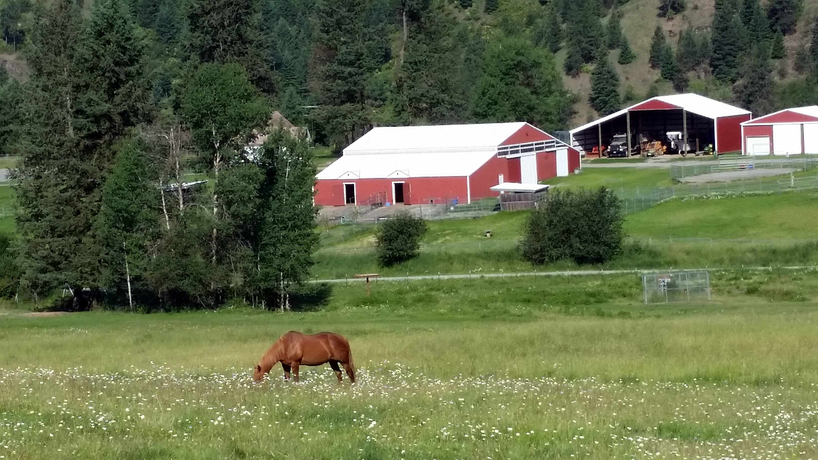 This is a view from the top of our property of the ranch truly a peaceful place to rest.