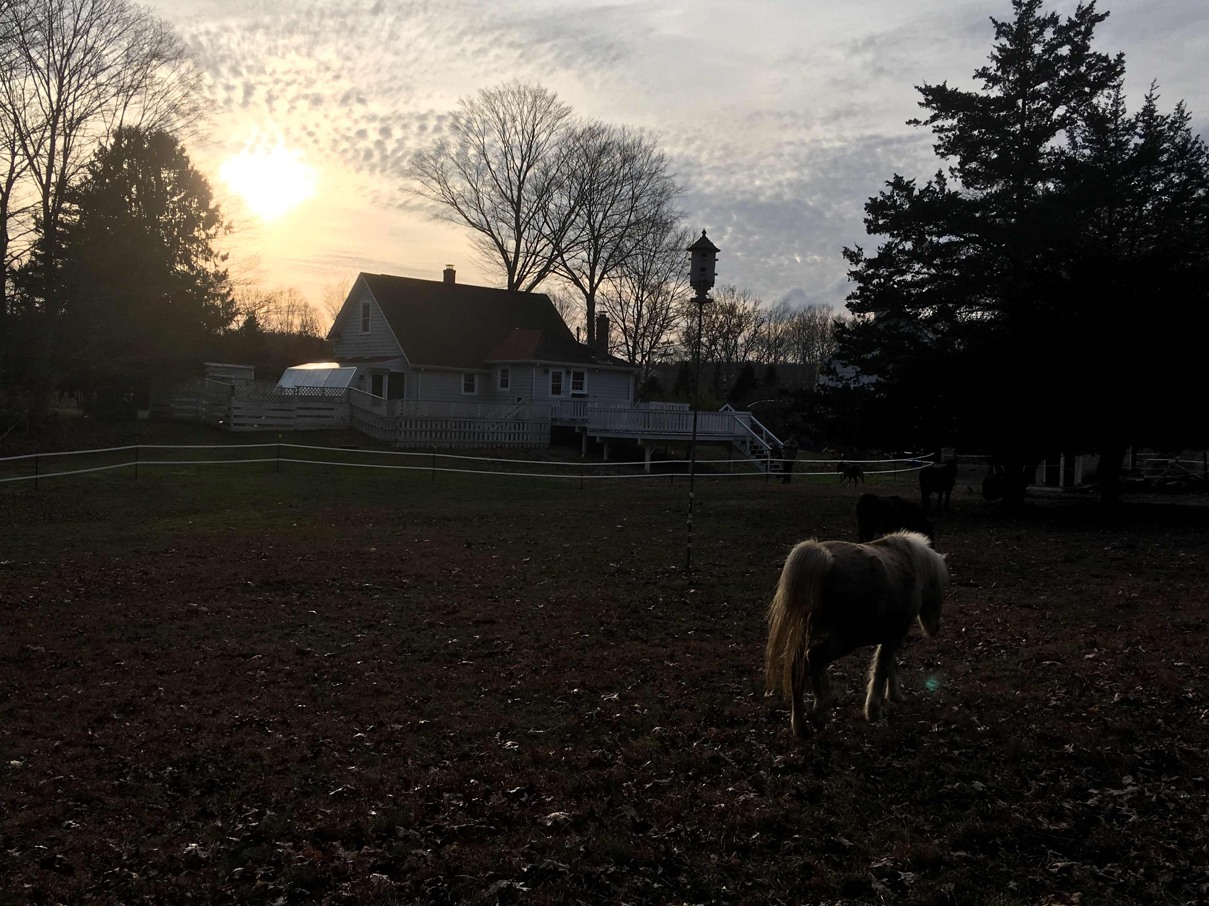 Field behind farmhouse