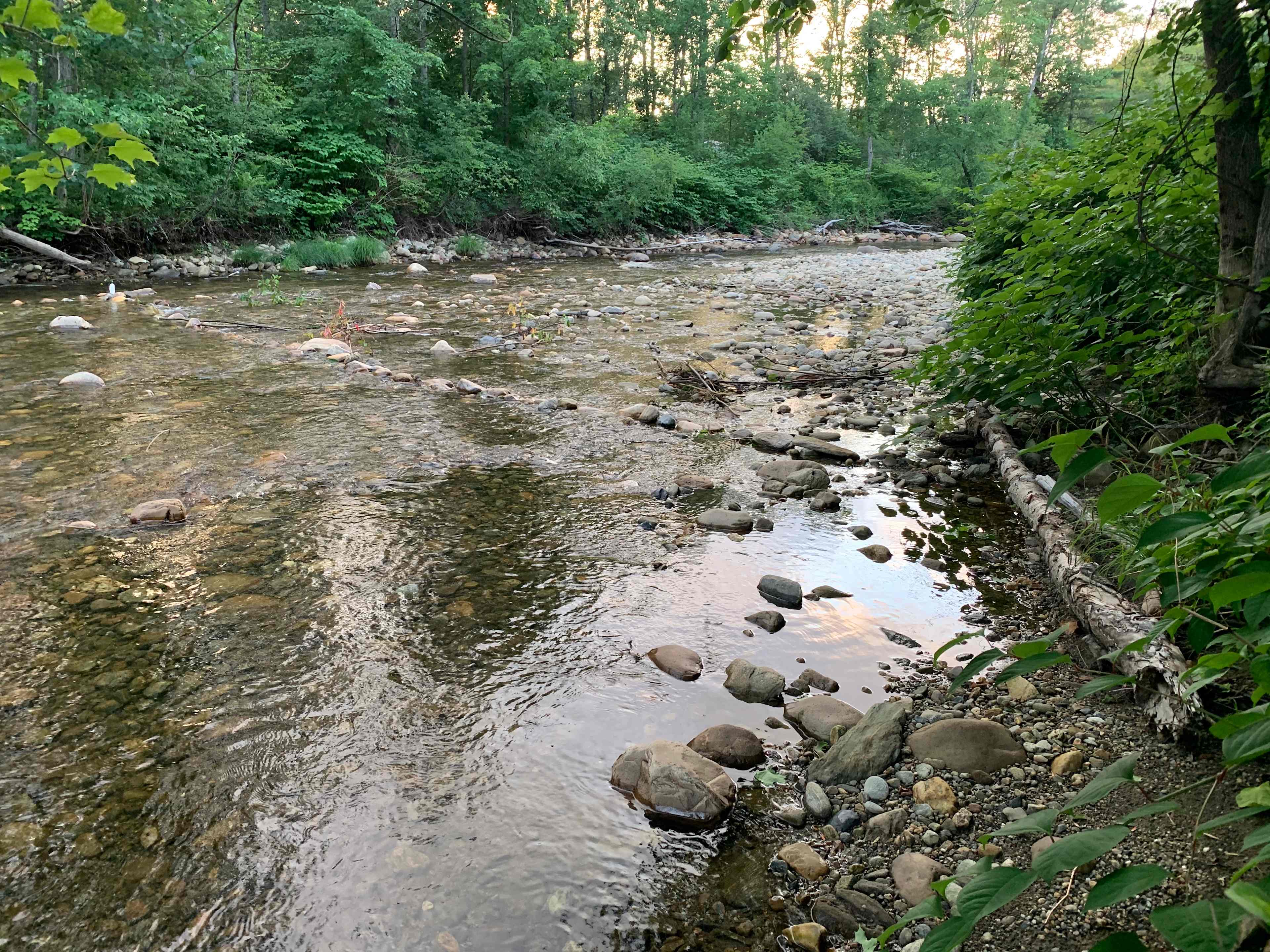 OneRiver Farm, Lincoln, Vermont