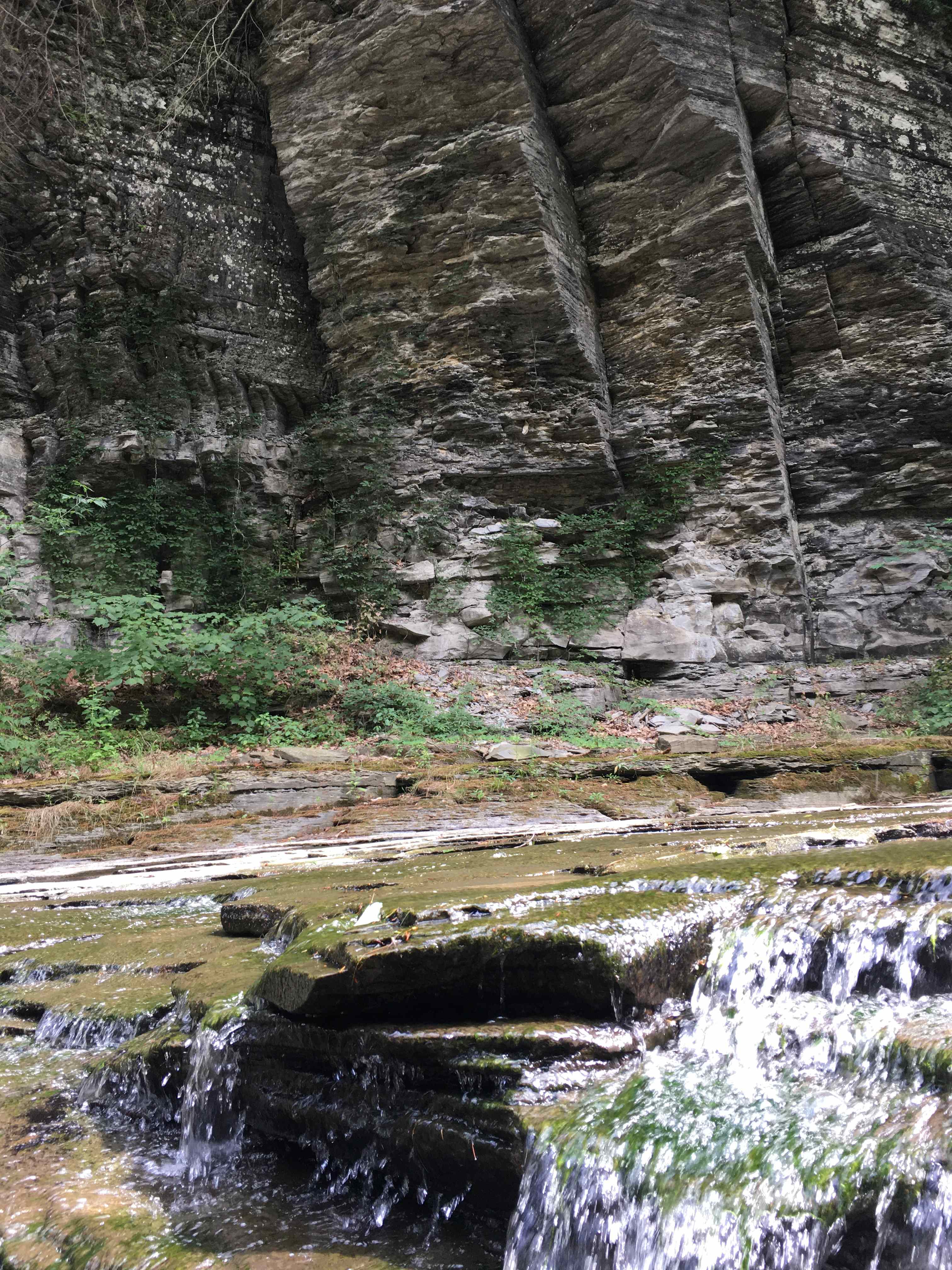 Millennia of Nature’s Work - Havana Glen