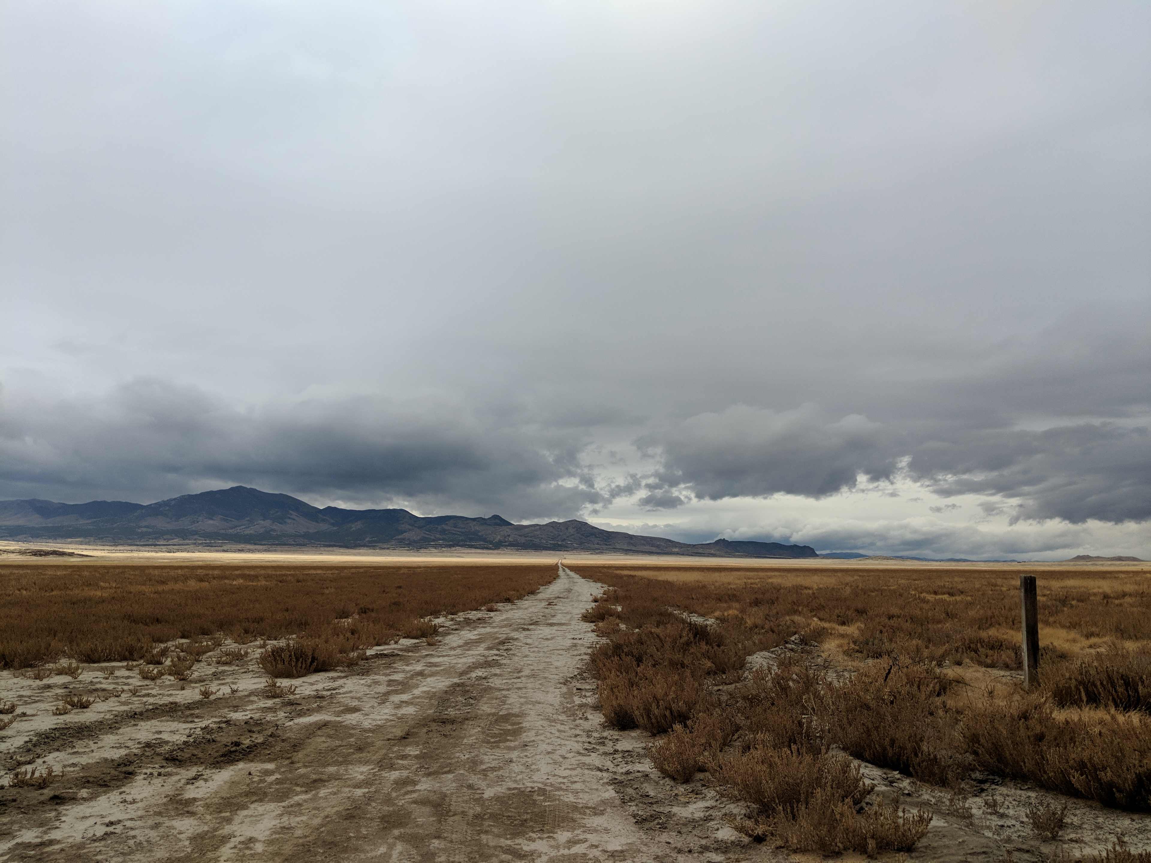 Welcome home. The bluish greys of the mountains and sky complement the greenish browns of the sagebrush and the vast sandy playa.