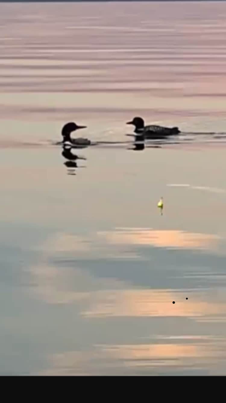 R&R Mille Lacs
