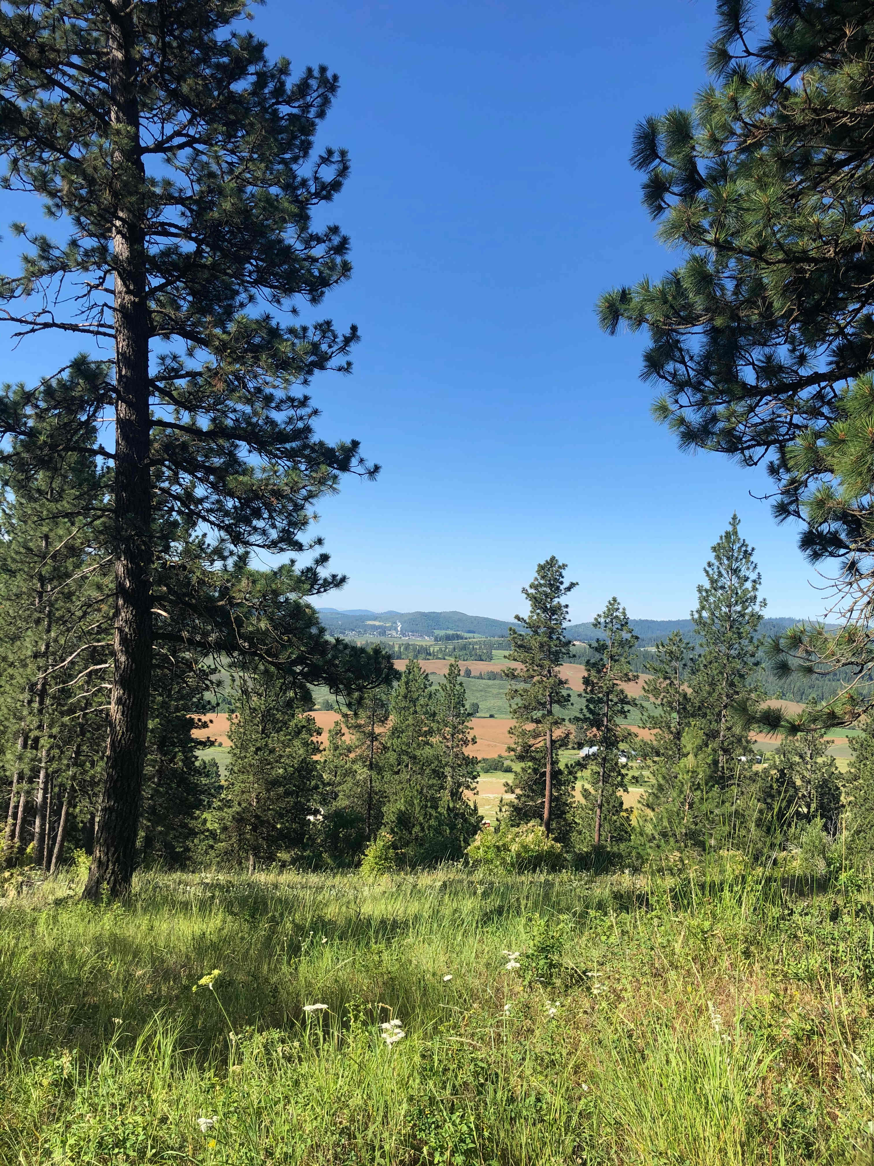 North Idaho R&R Ranch