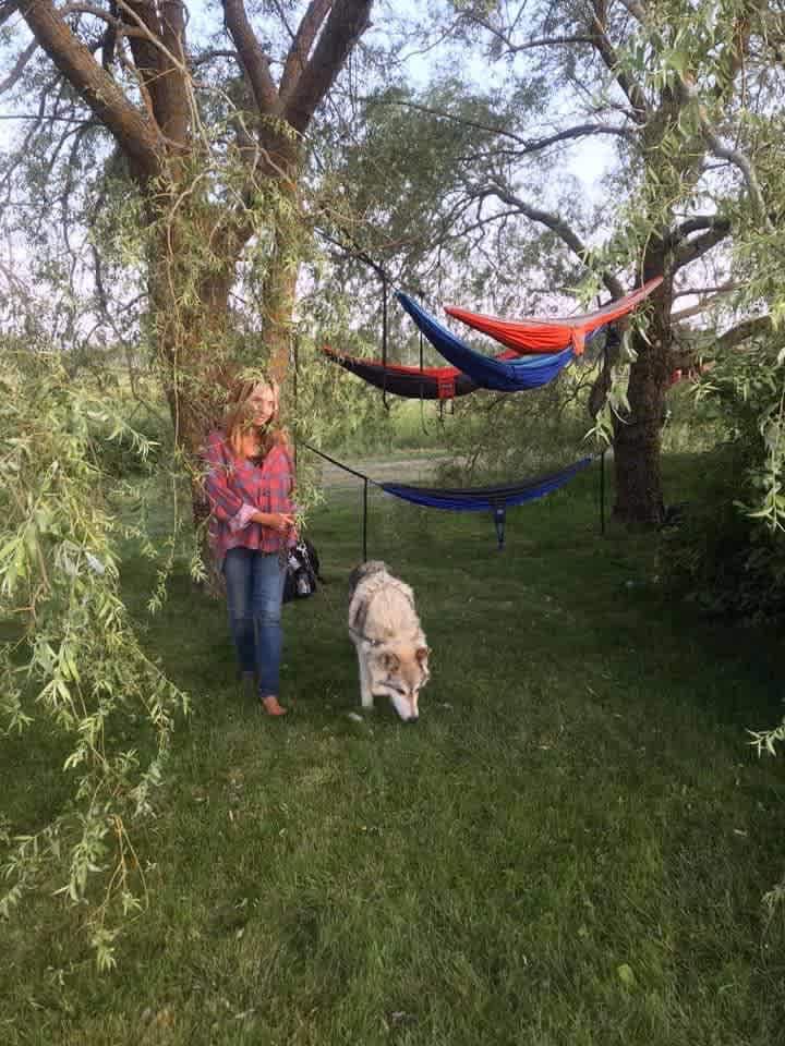 Camping With Wolves, Acadia Area