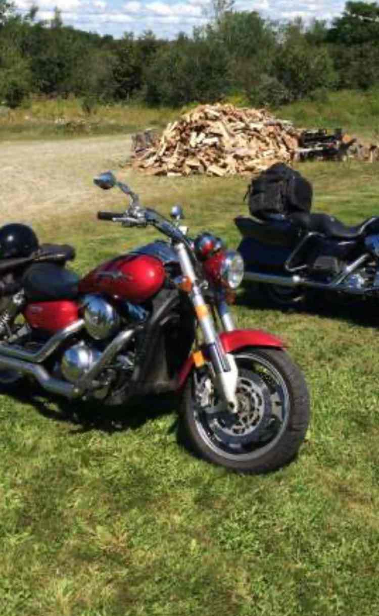 Camping With Wolves, Acadia Area