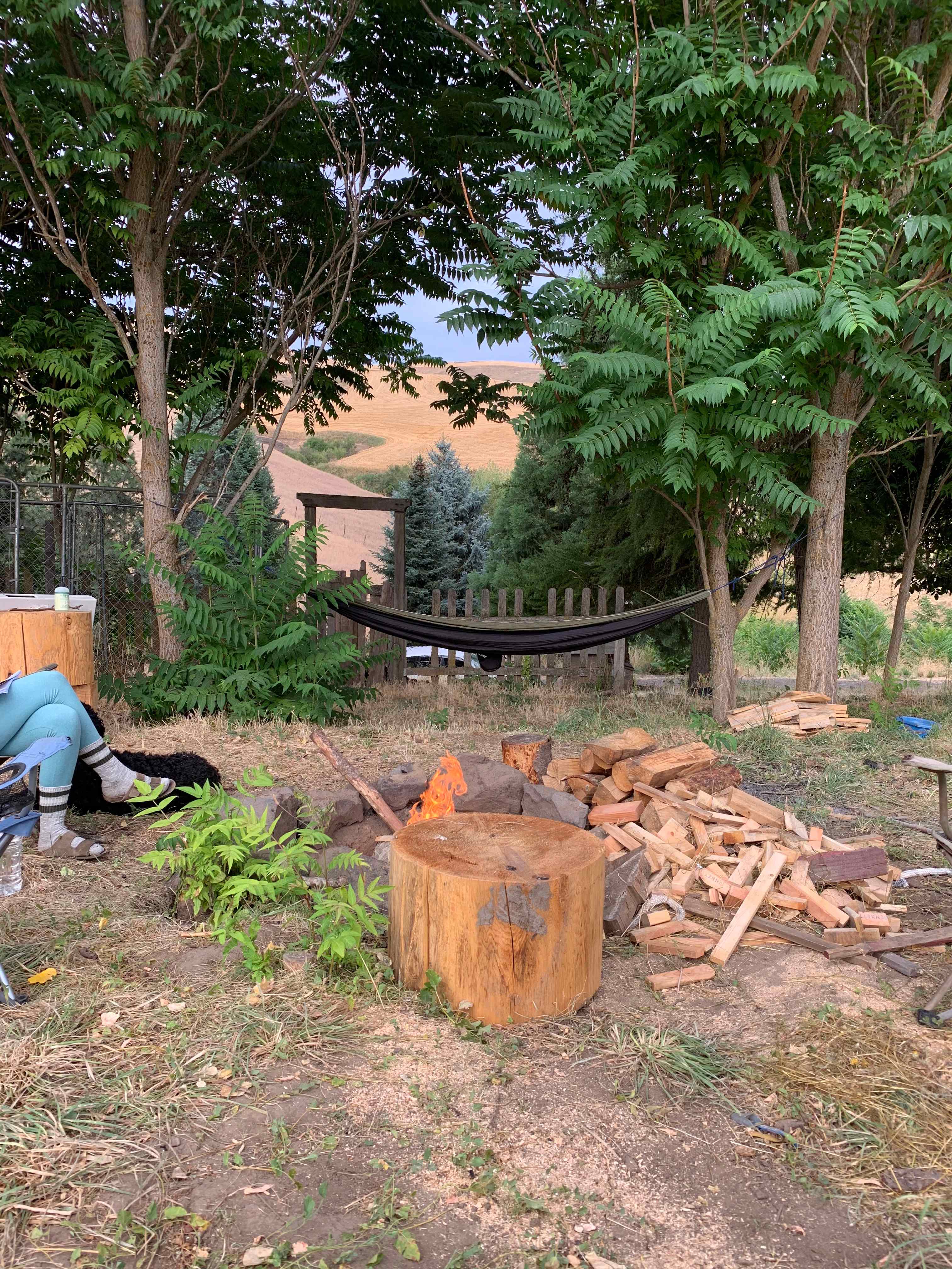 Clearwater Wildergrounds