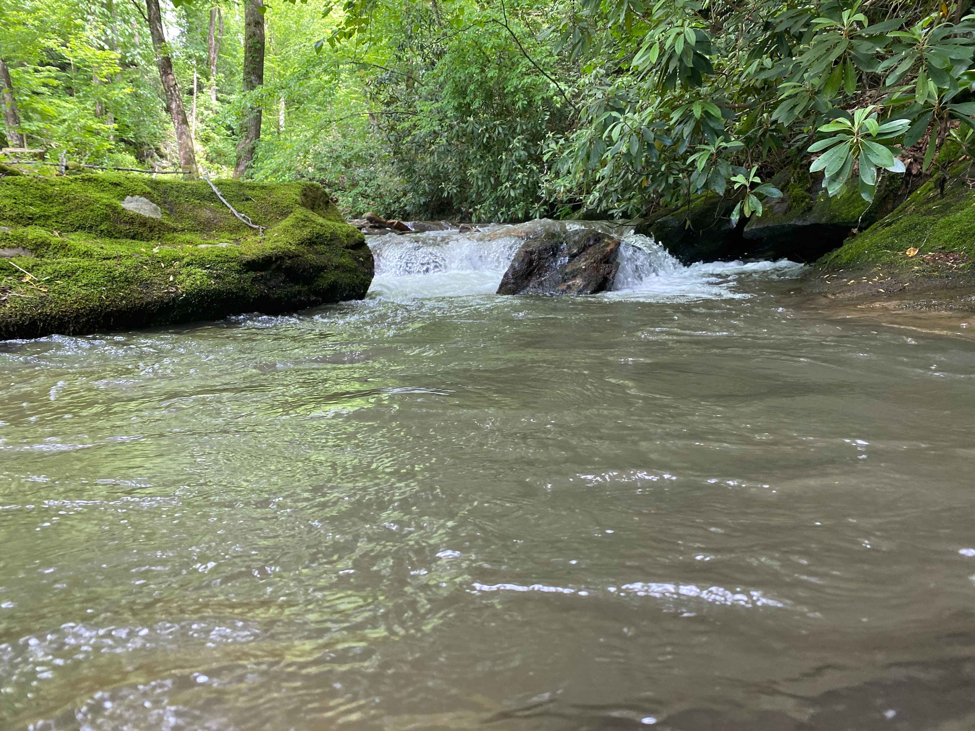 Cherokee Waterfall Campground