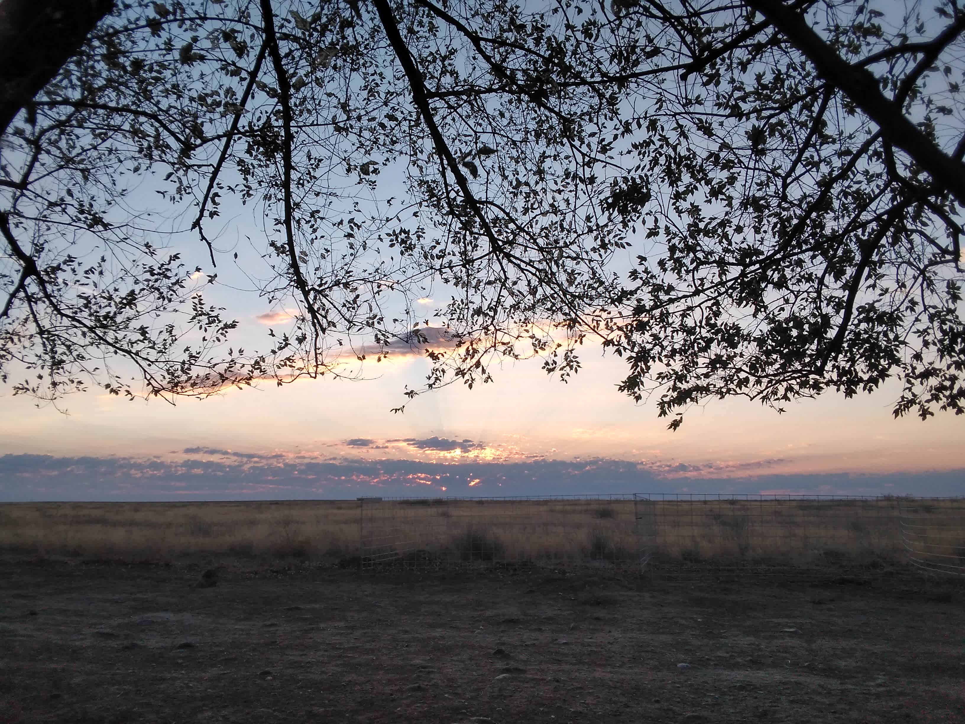 Sunrise . 8/19/20