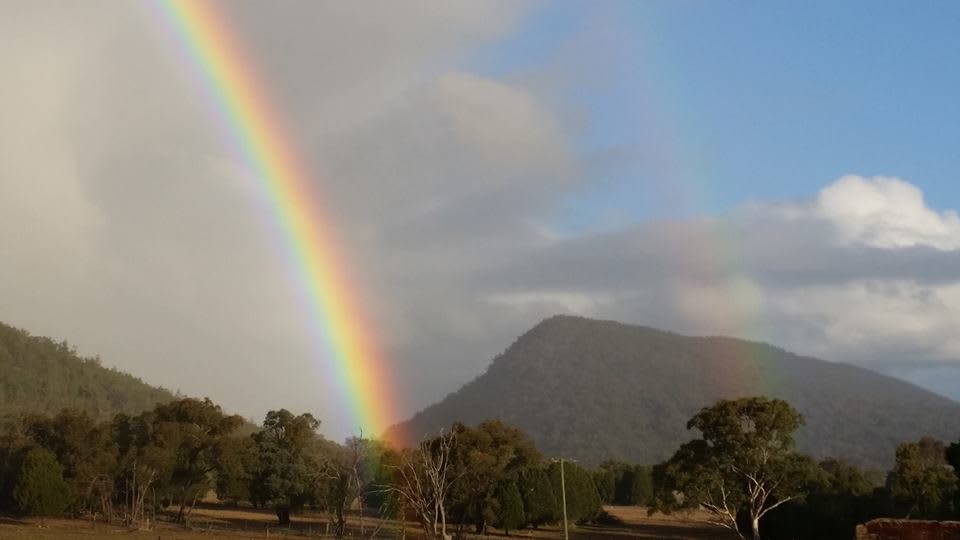 Quamby Park Farm Stay & Petting Zoo NSW