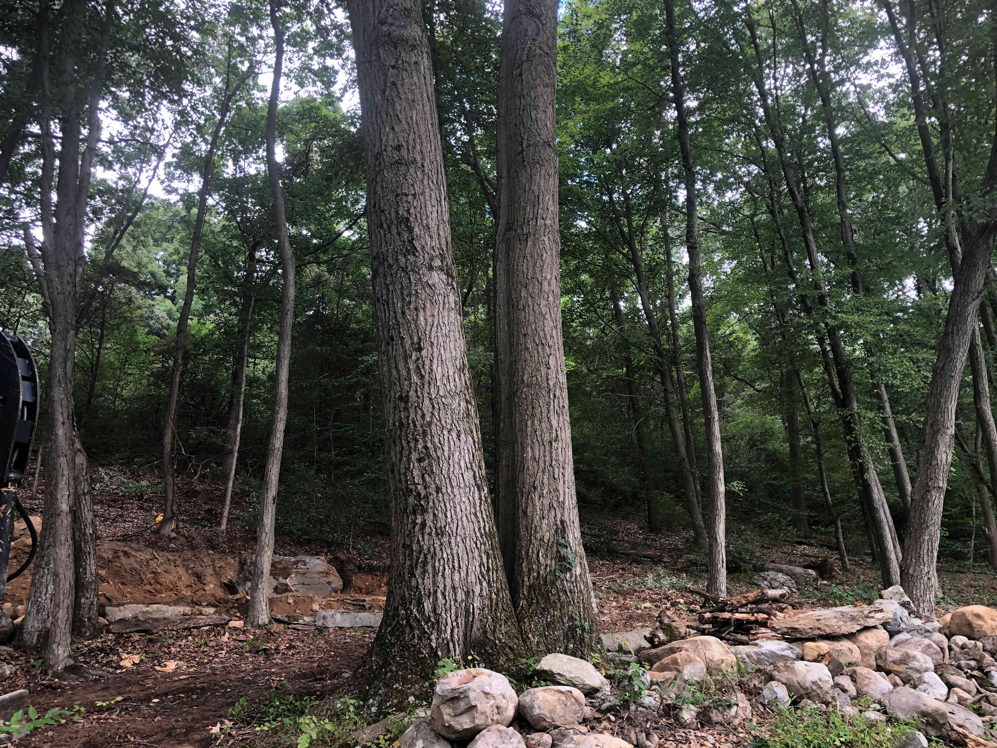 Twin Oaks - Approaching the site from the parking area.