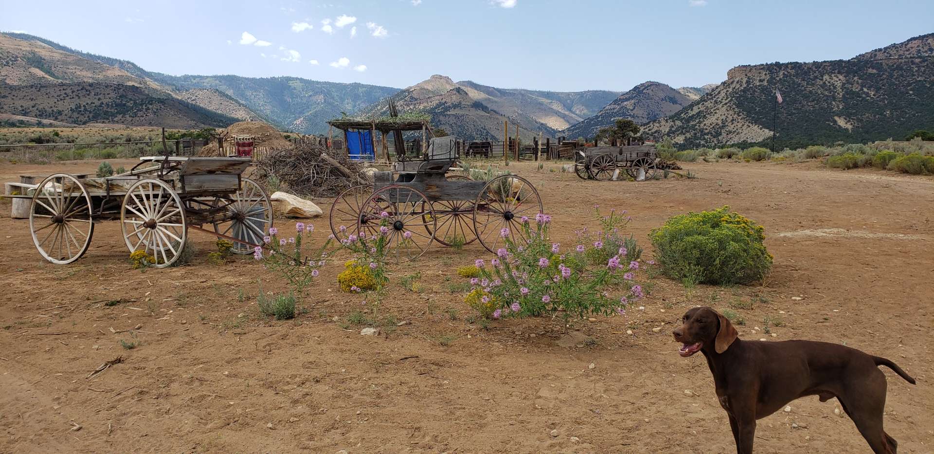 LZJ Ranch's Hiawatha Hideout!