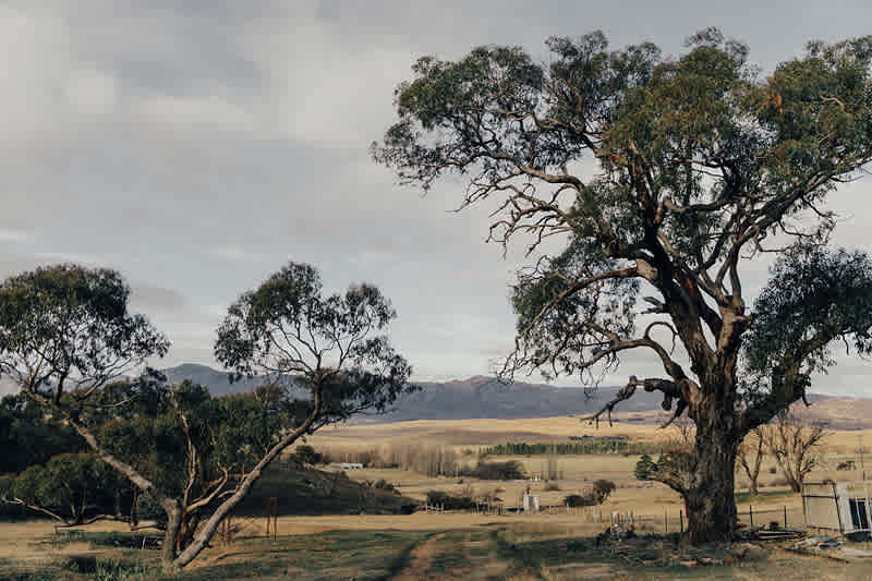 Michelago Farm Camping