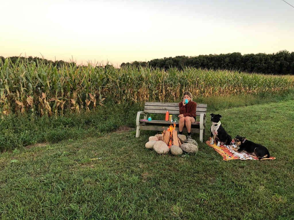 The Farm Camp