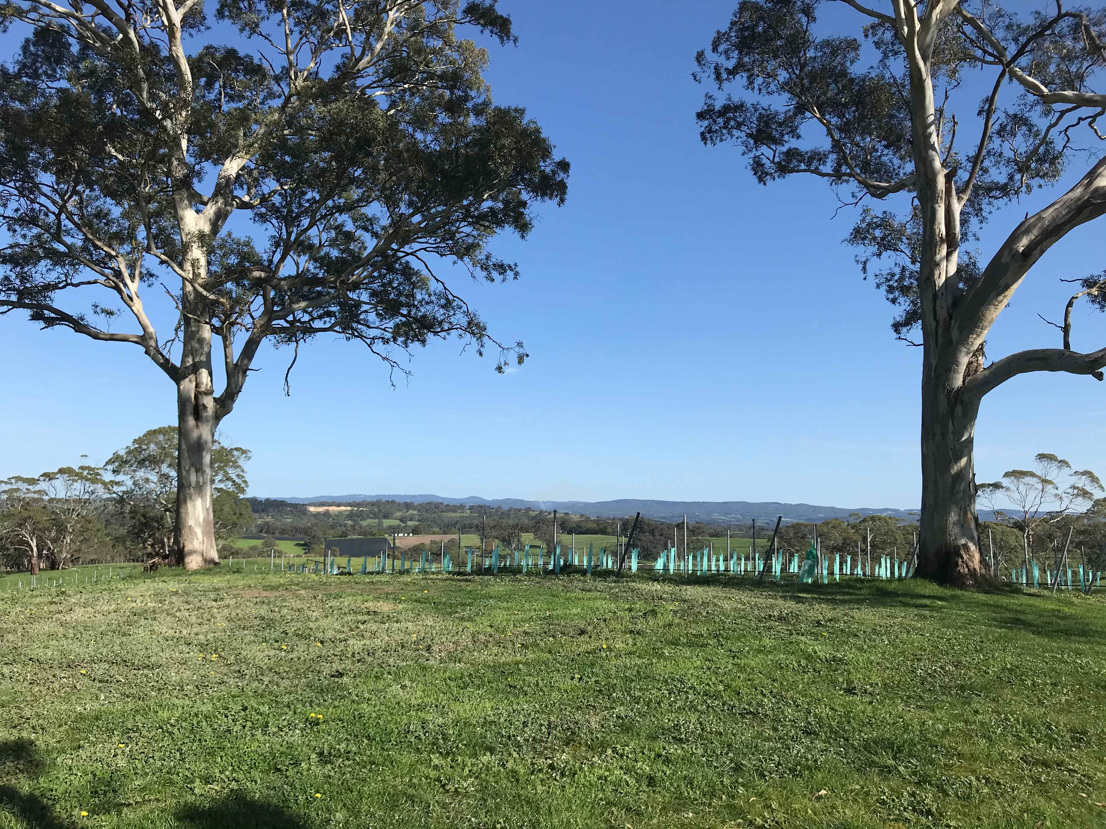 Beautiful views to Mount Lofty