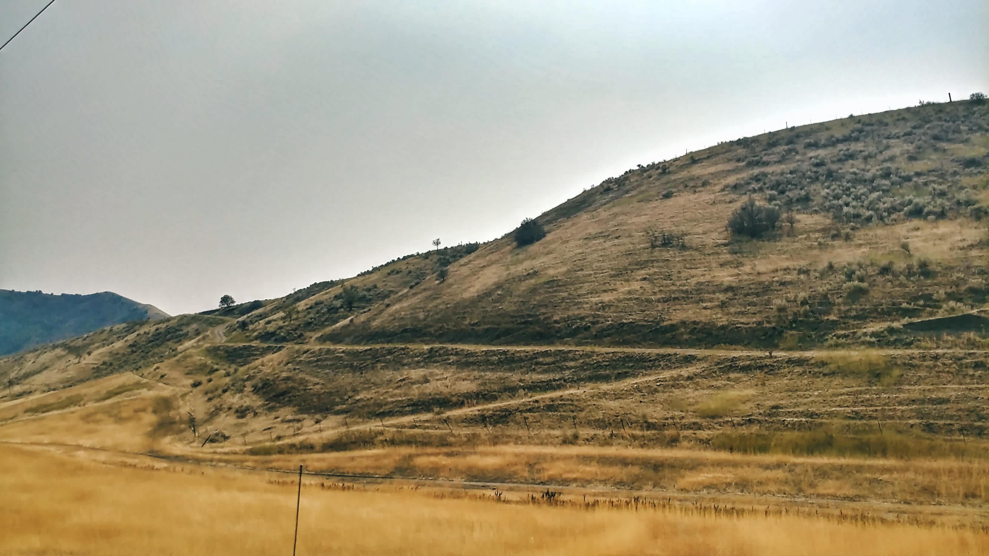 Road on the hillside leading up to the campsites.