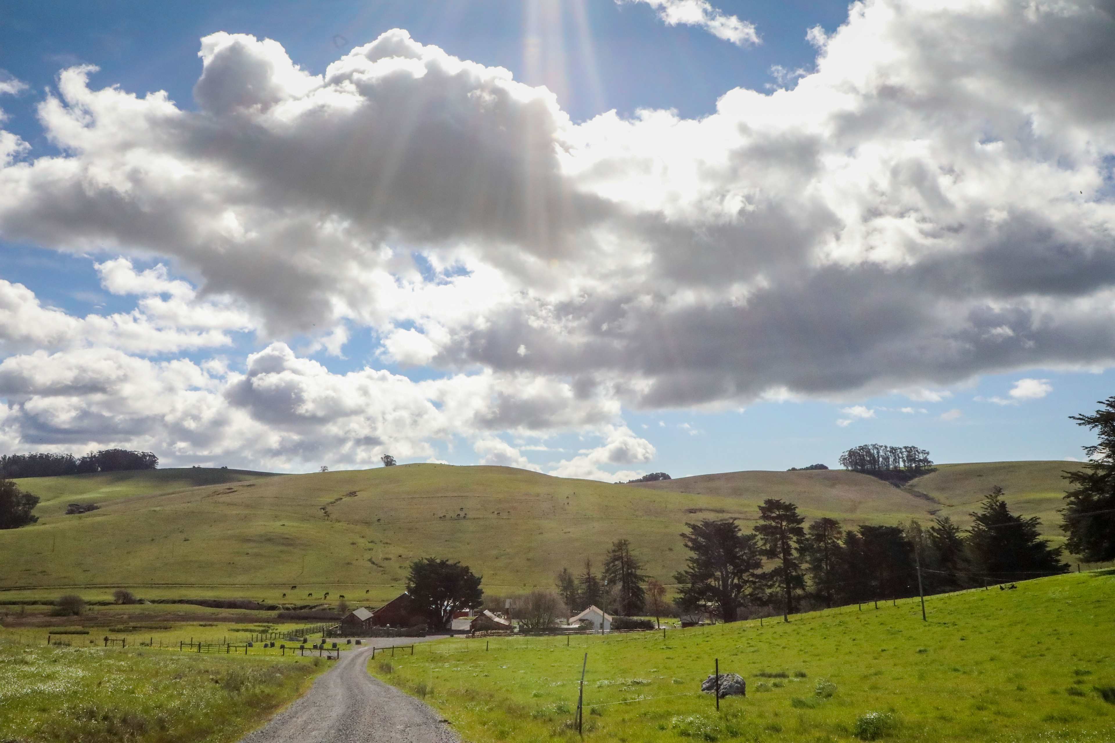 Stemple Creek Ranch