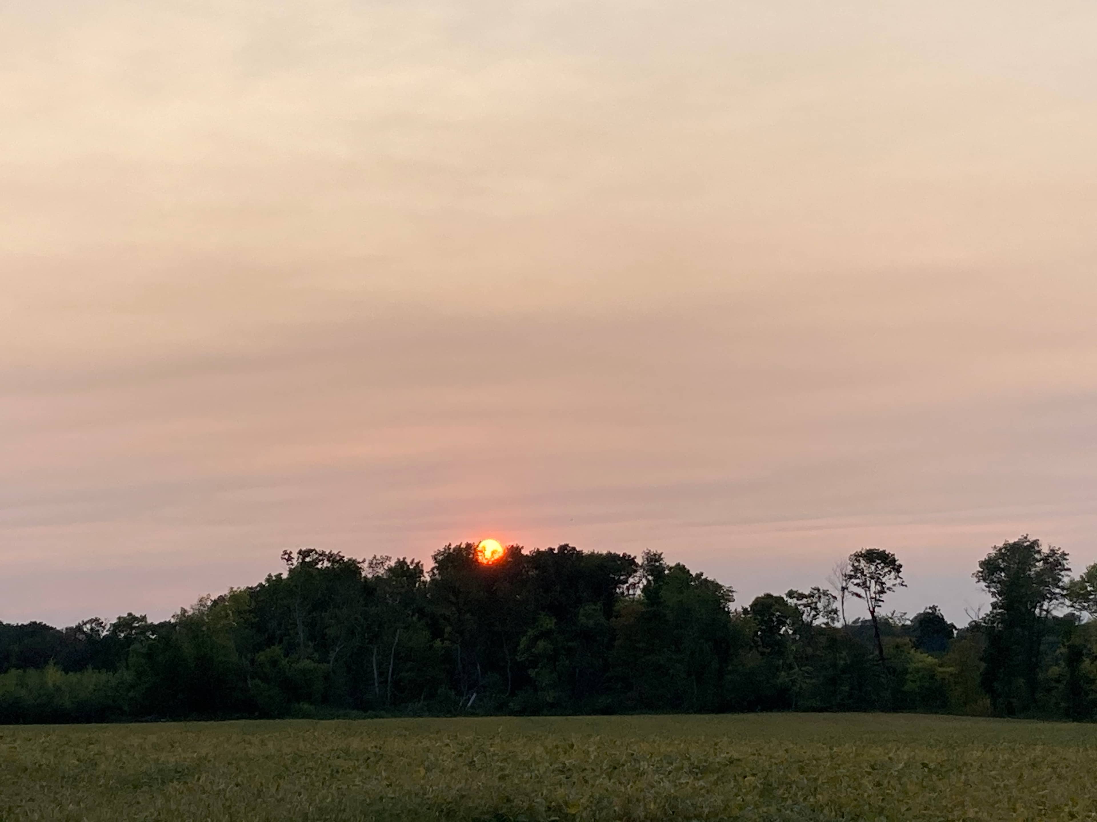 sunset view