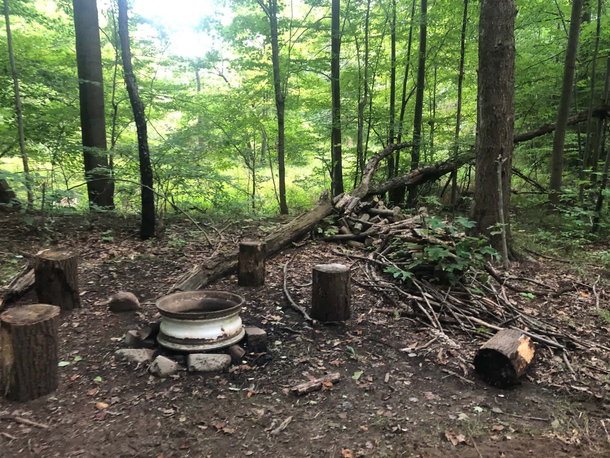 Fire pit and south view