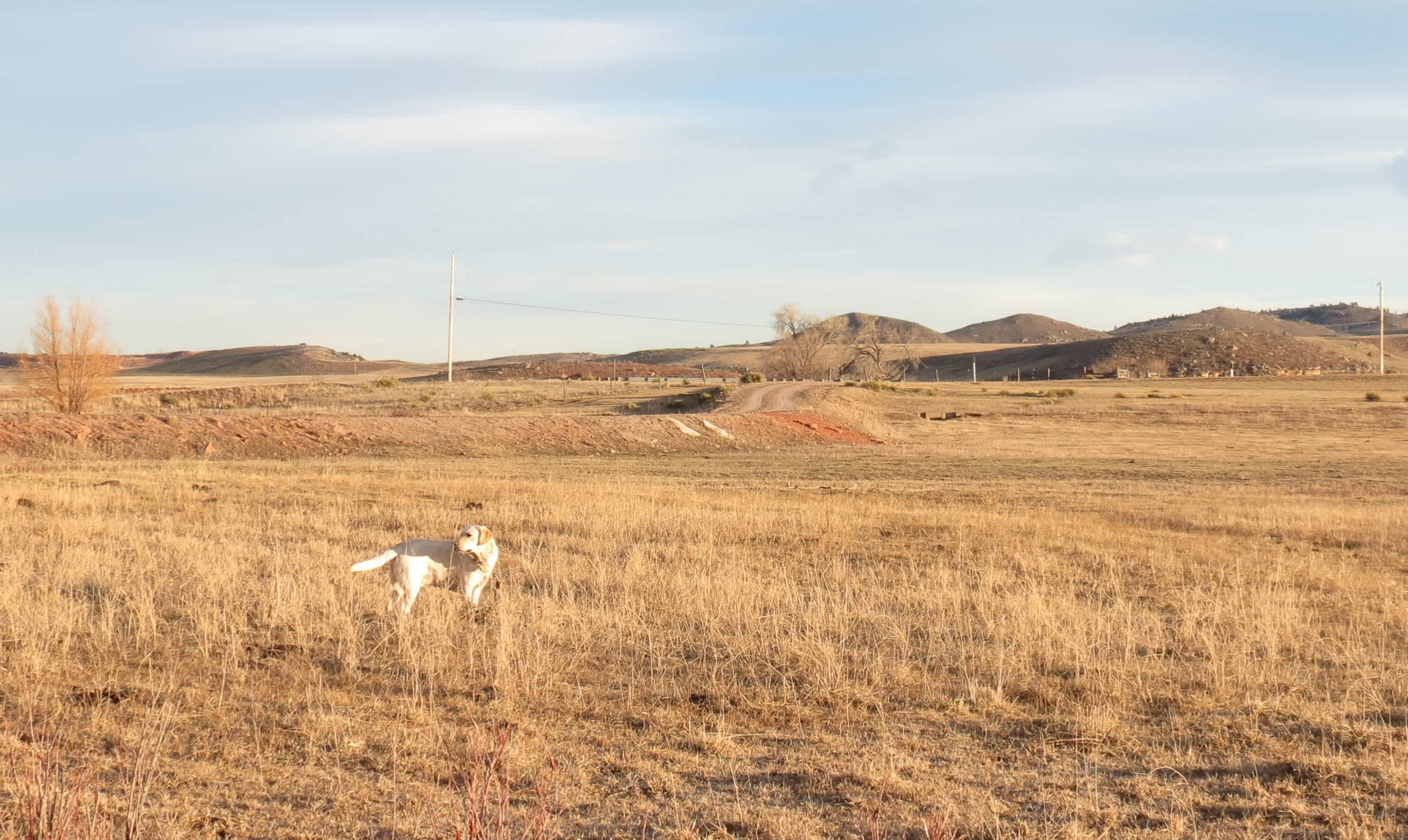 View from site