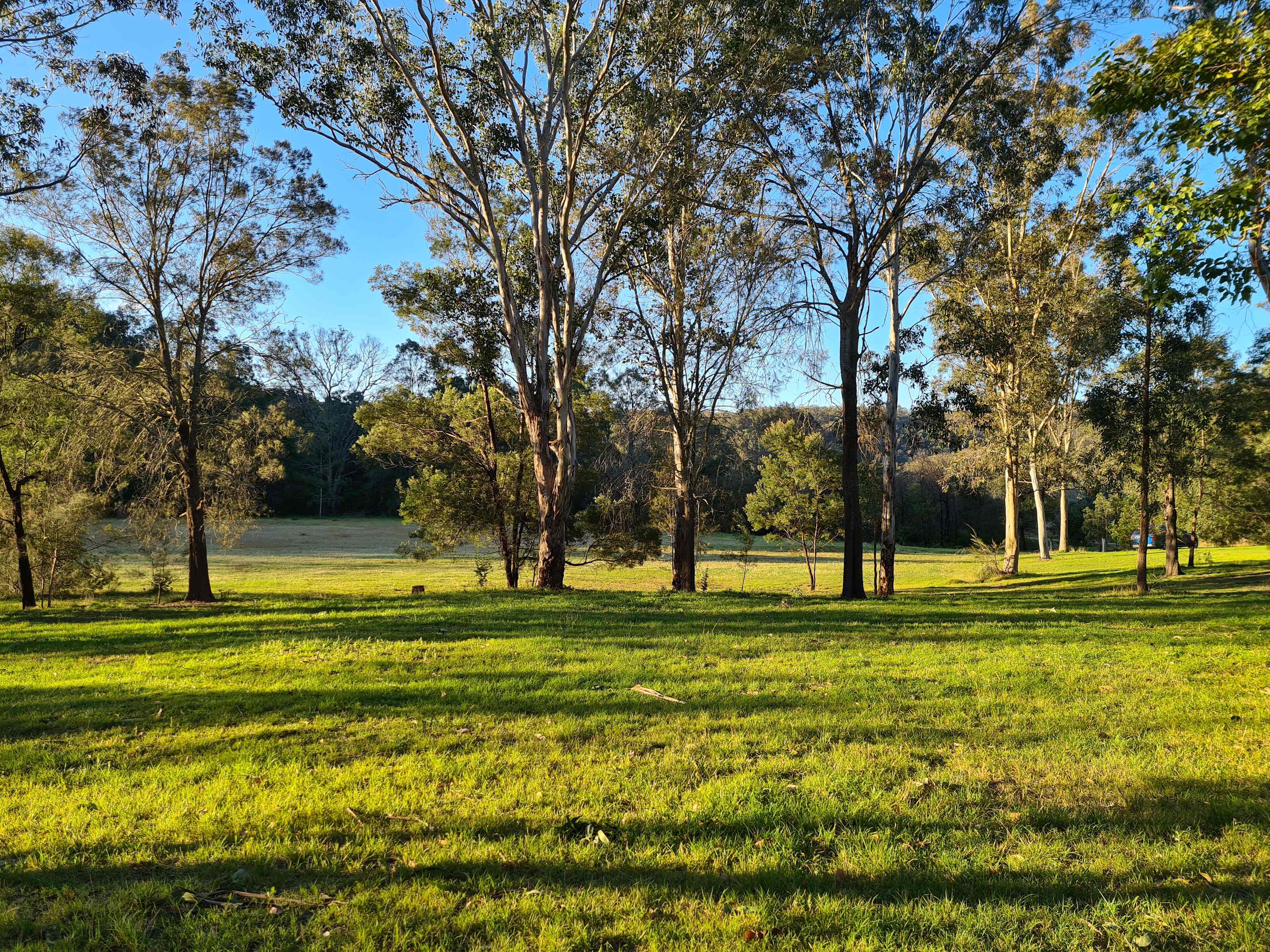 Camping site options
