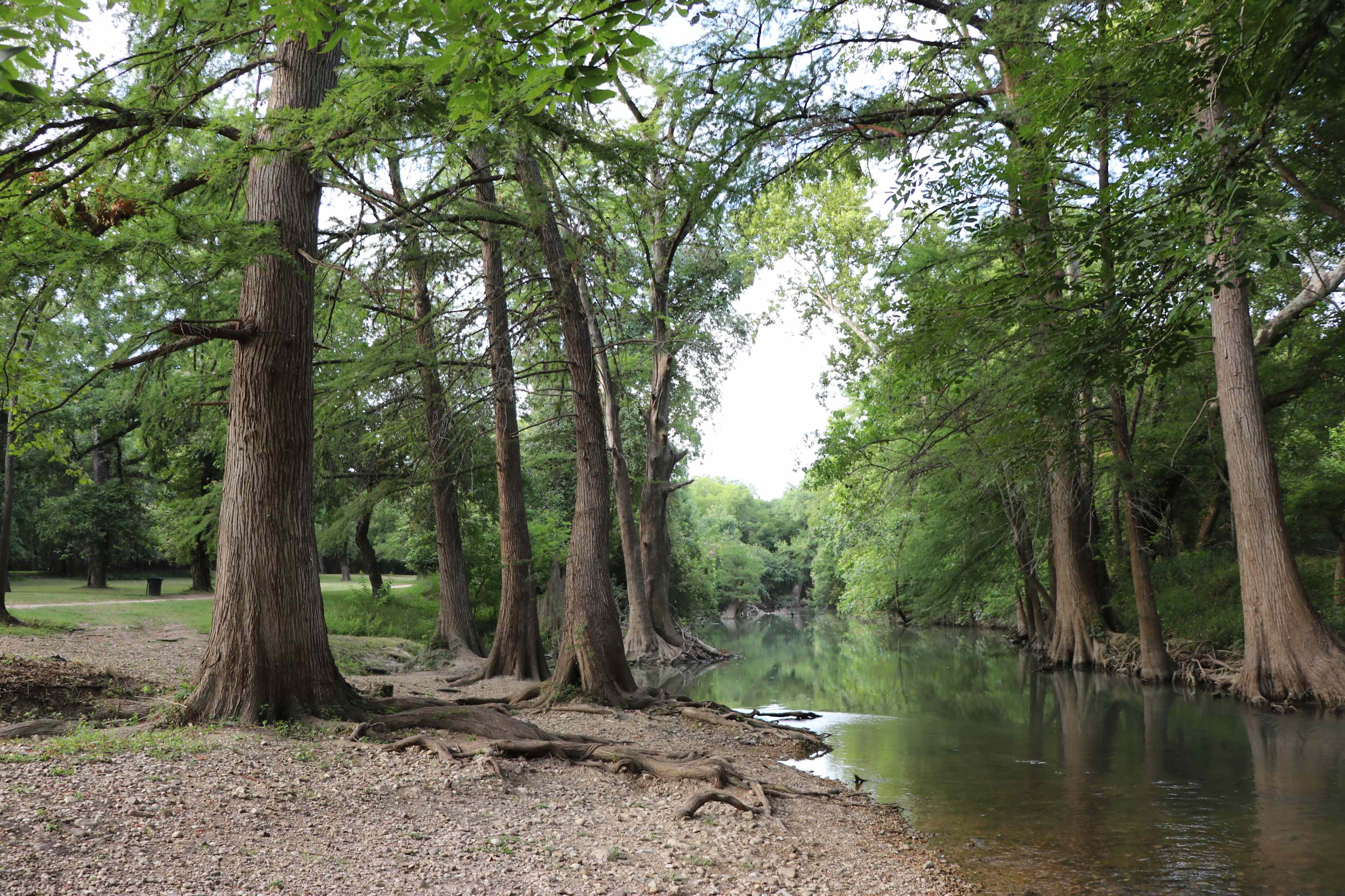 Medina River Shoreline