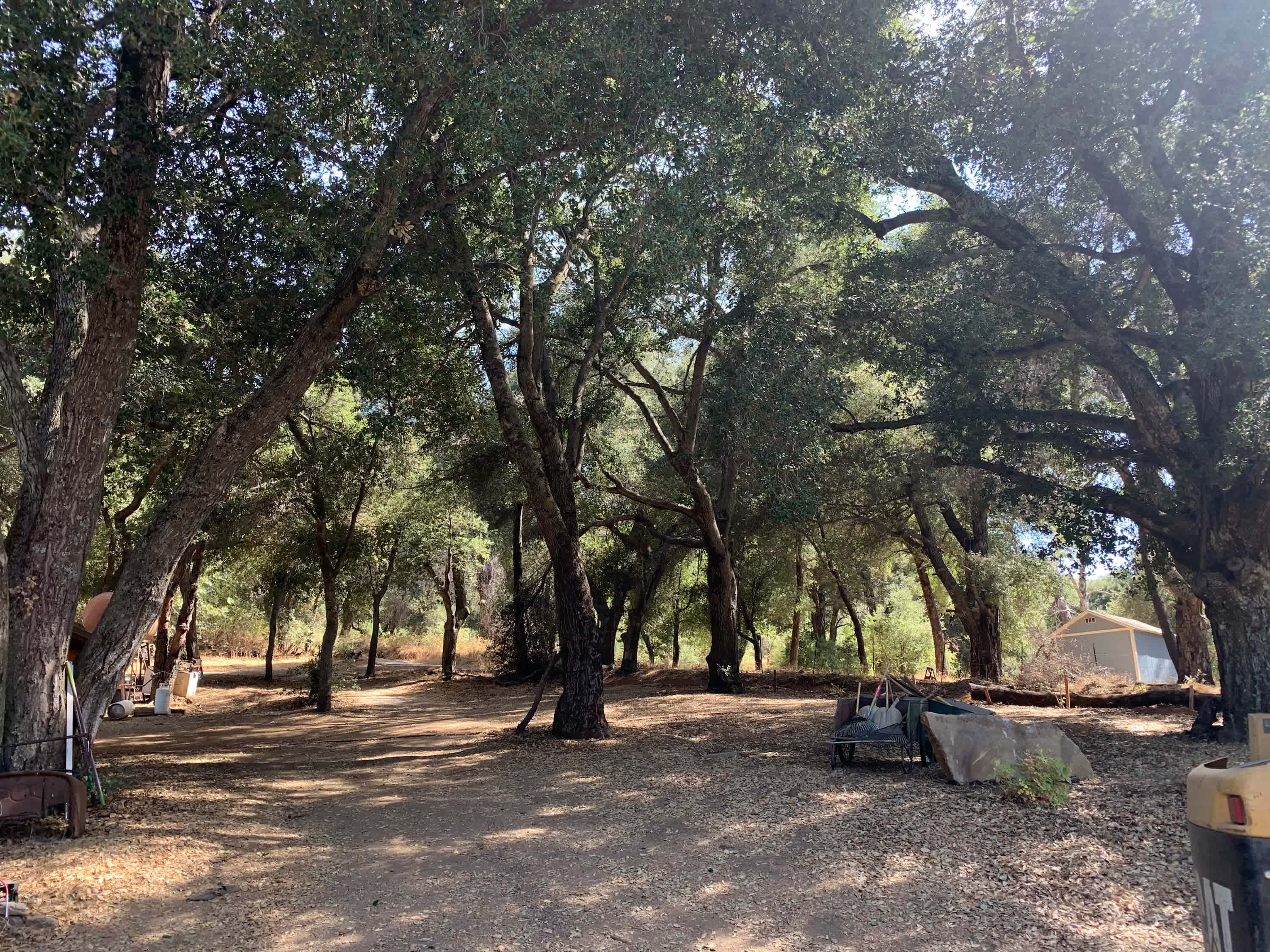 Campsite