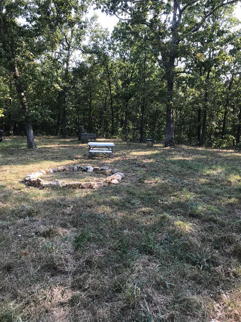 Camping Area in clearing