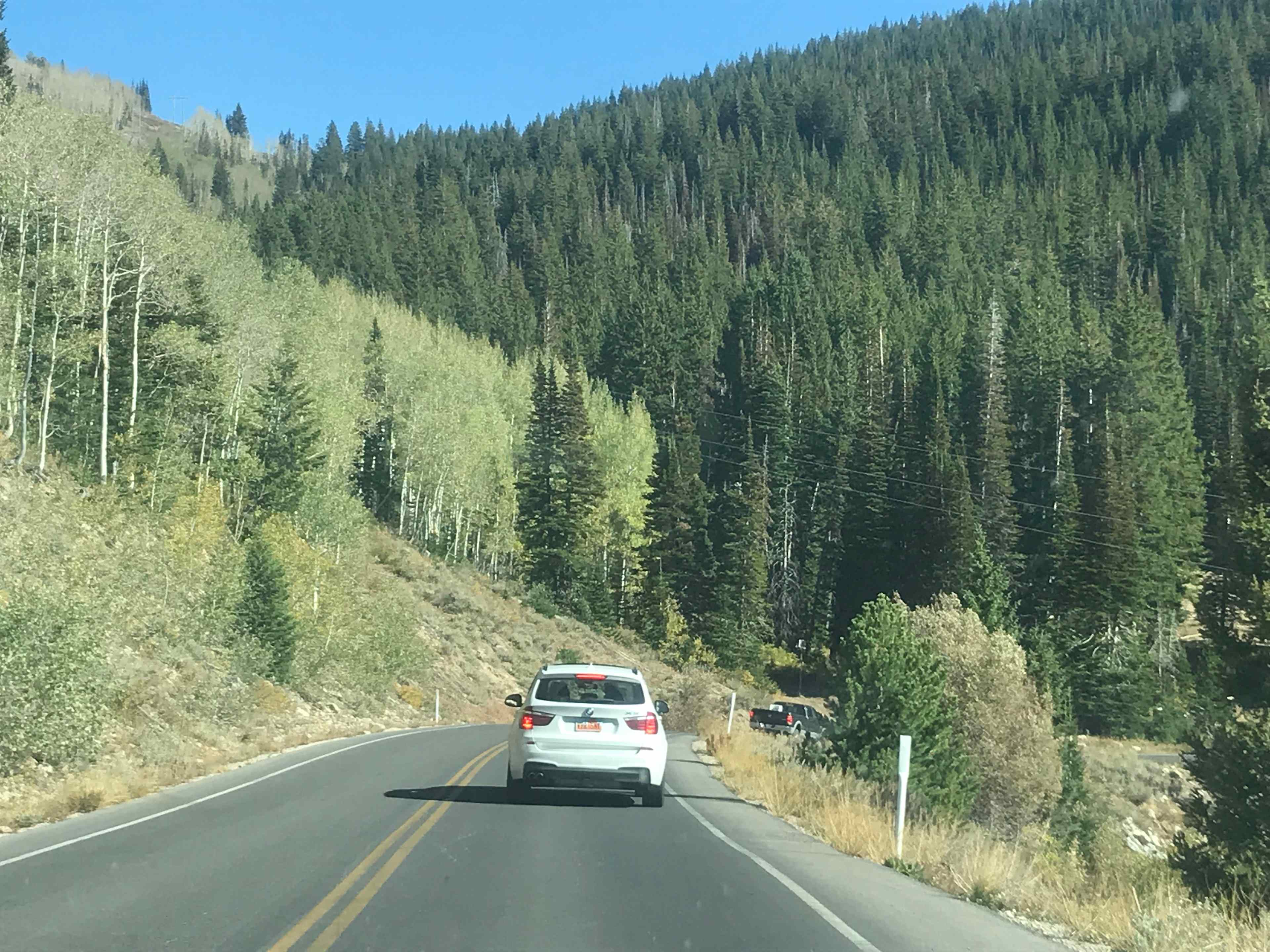 Road to the campsite