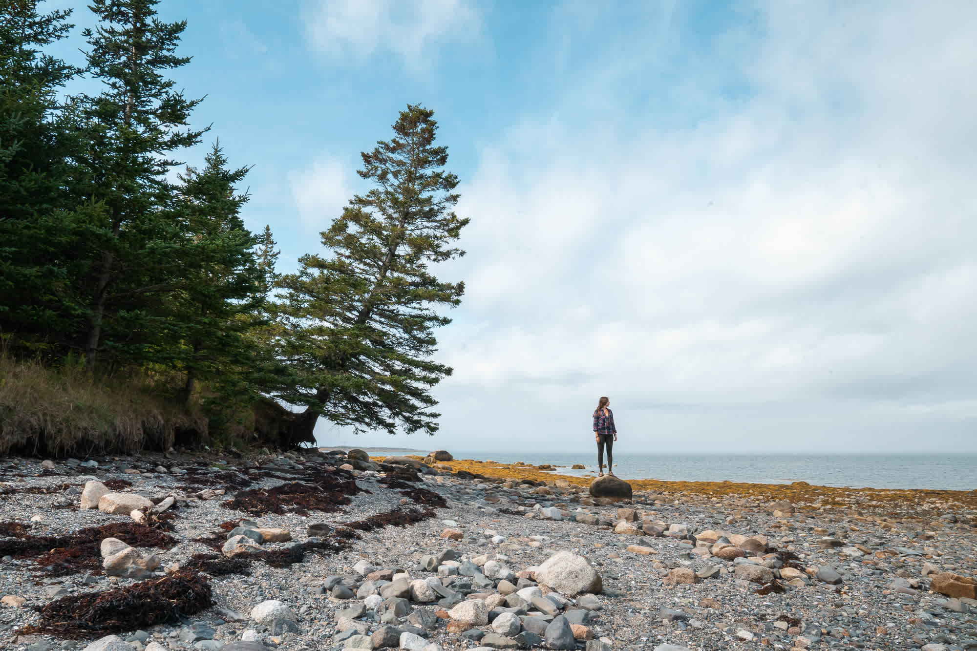 Checking out Mount Desert Narrows!