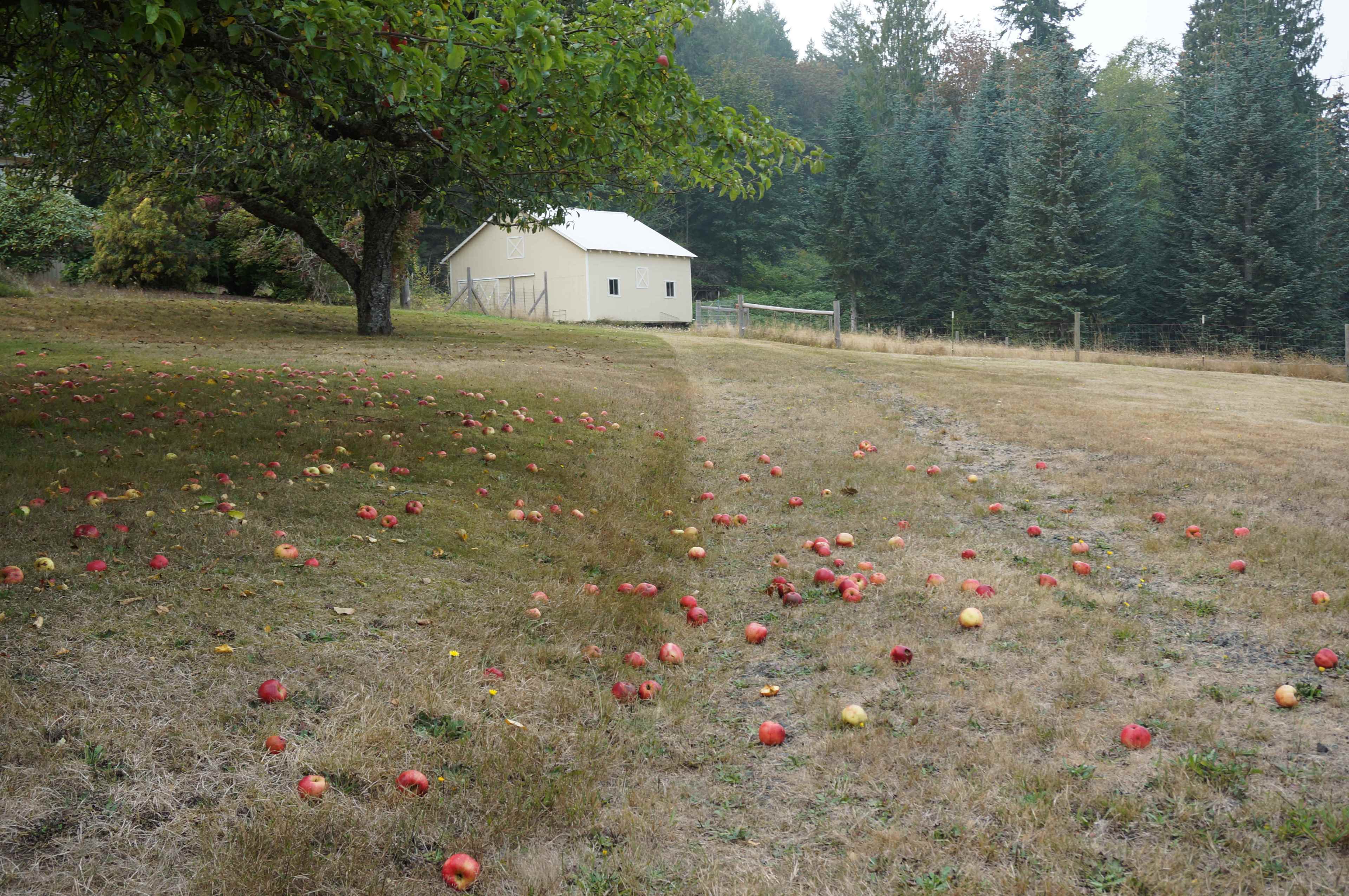 Big Valley Camp