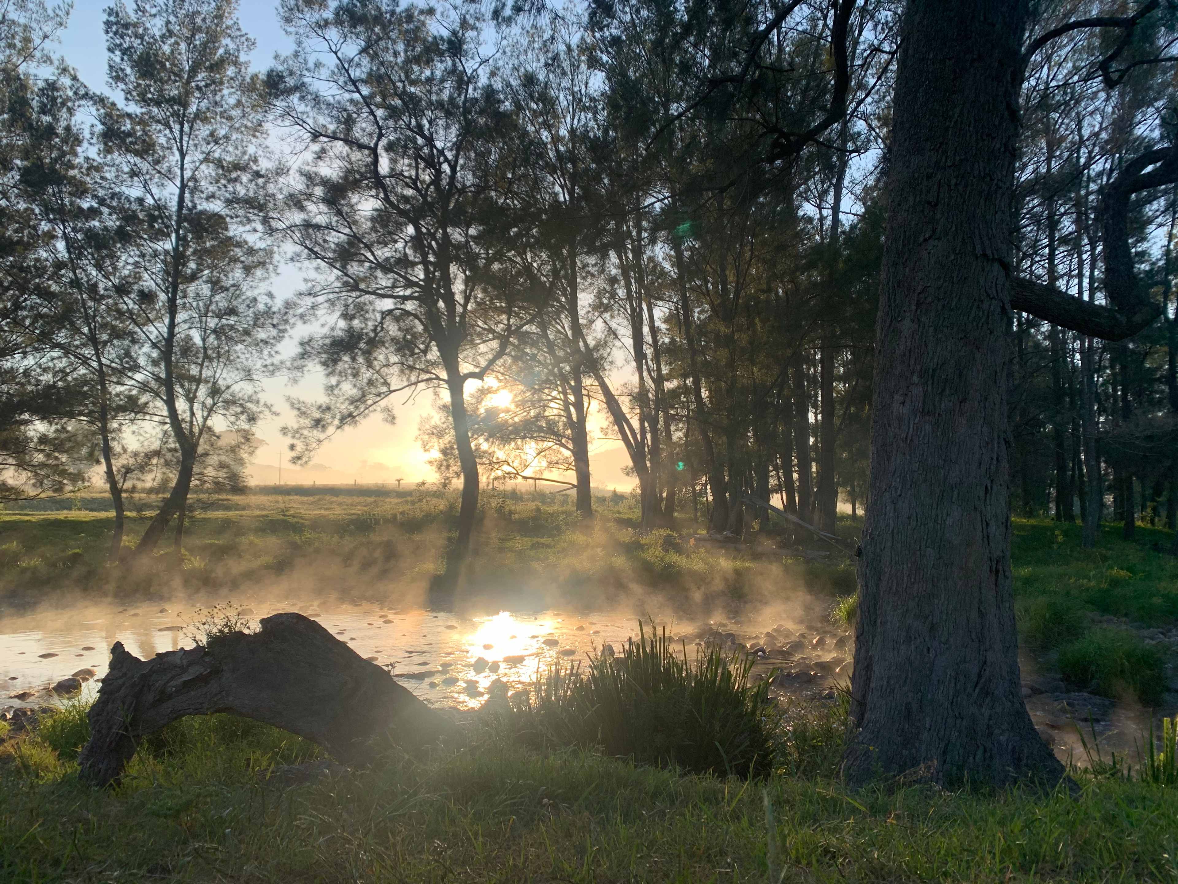 Absolutely stunning early morning sunrise