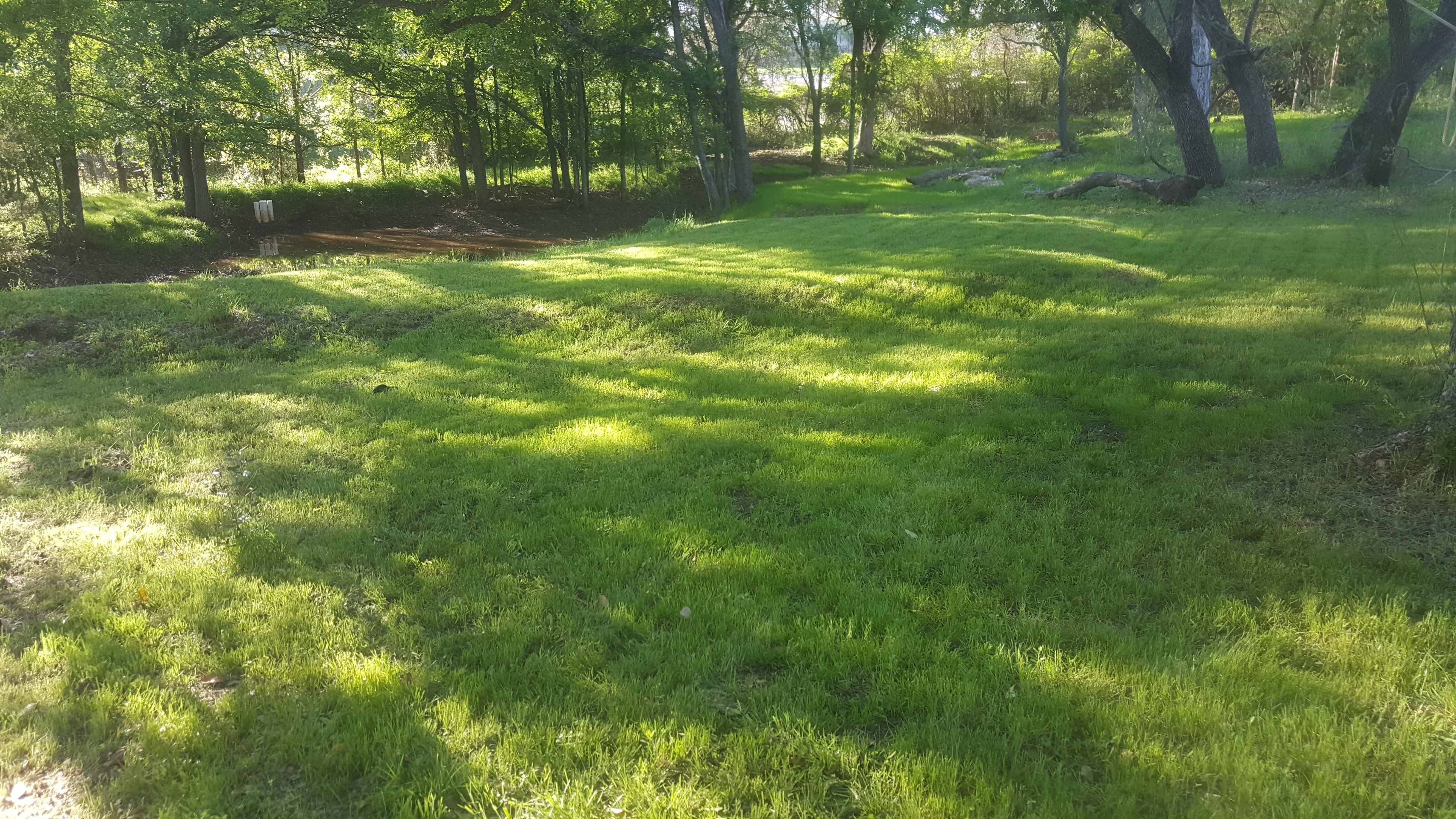 Orrasis Ranch