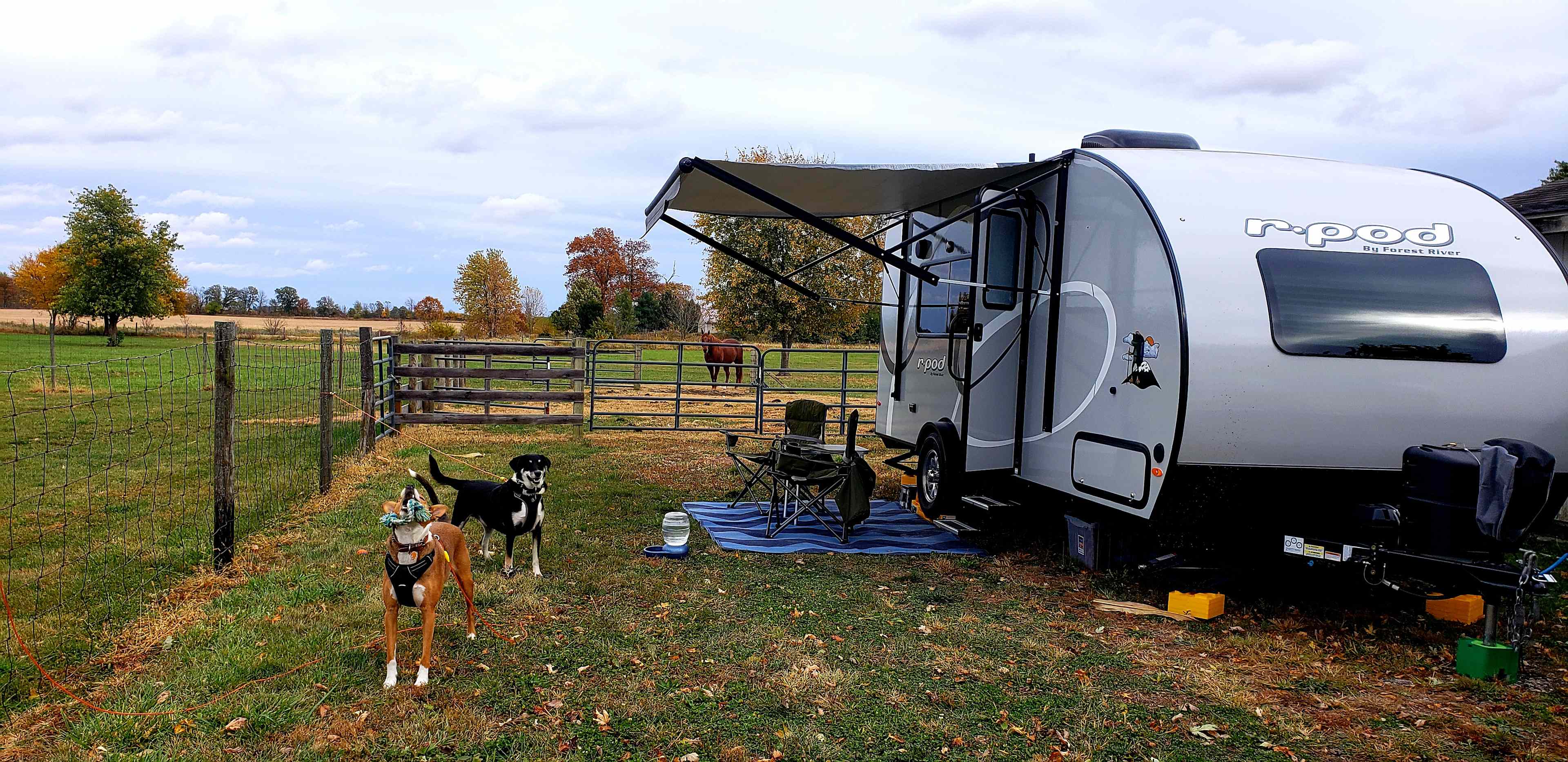 Shalamar Farm