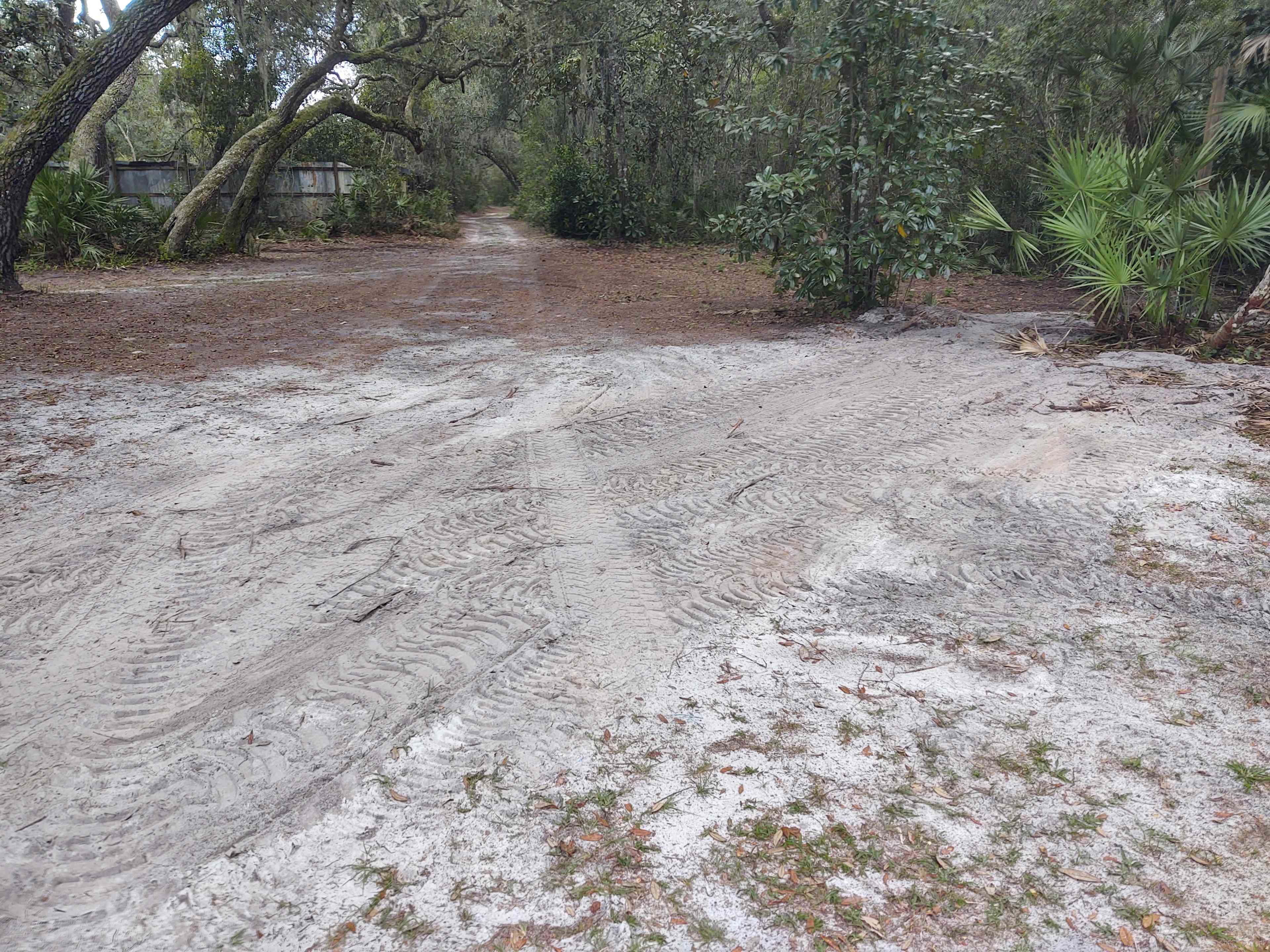 Animal farm, Ocala National Forest